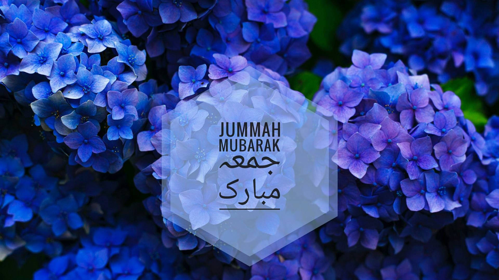 Jumma Mubarak Hydrangeas Background