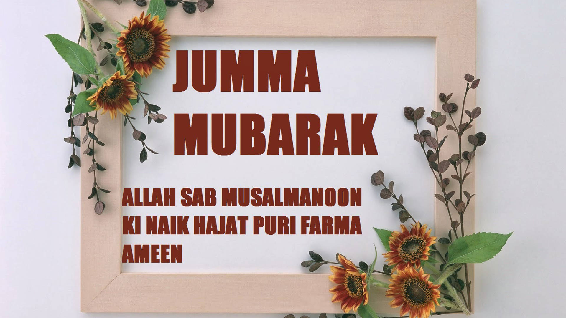 Jumma Mubarak Sunflowers