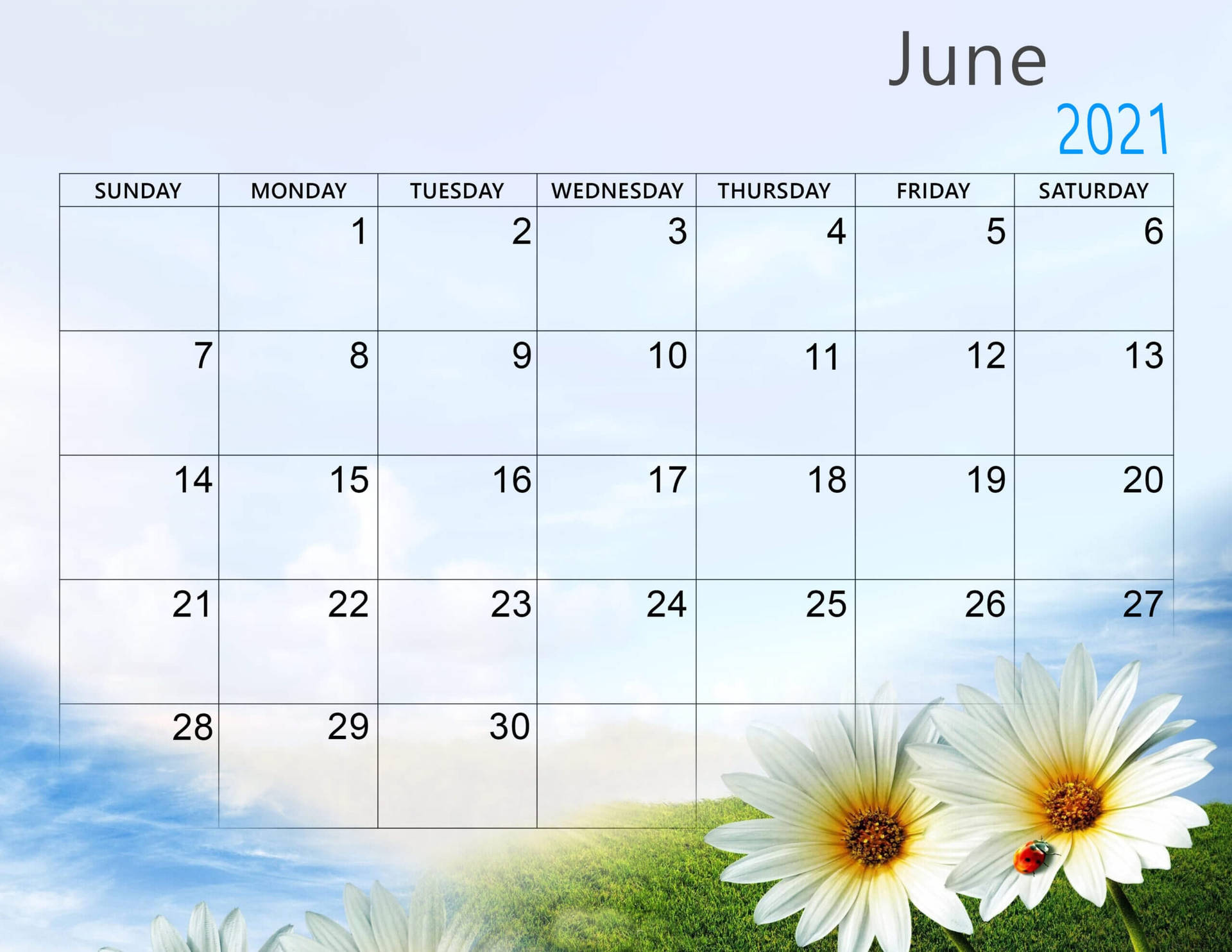 June 2021 Calendar 2560 X 1978