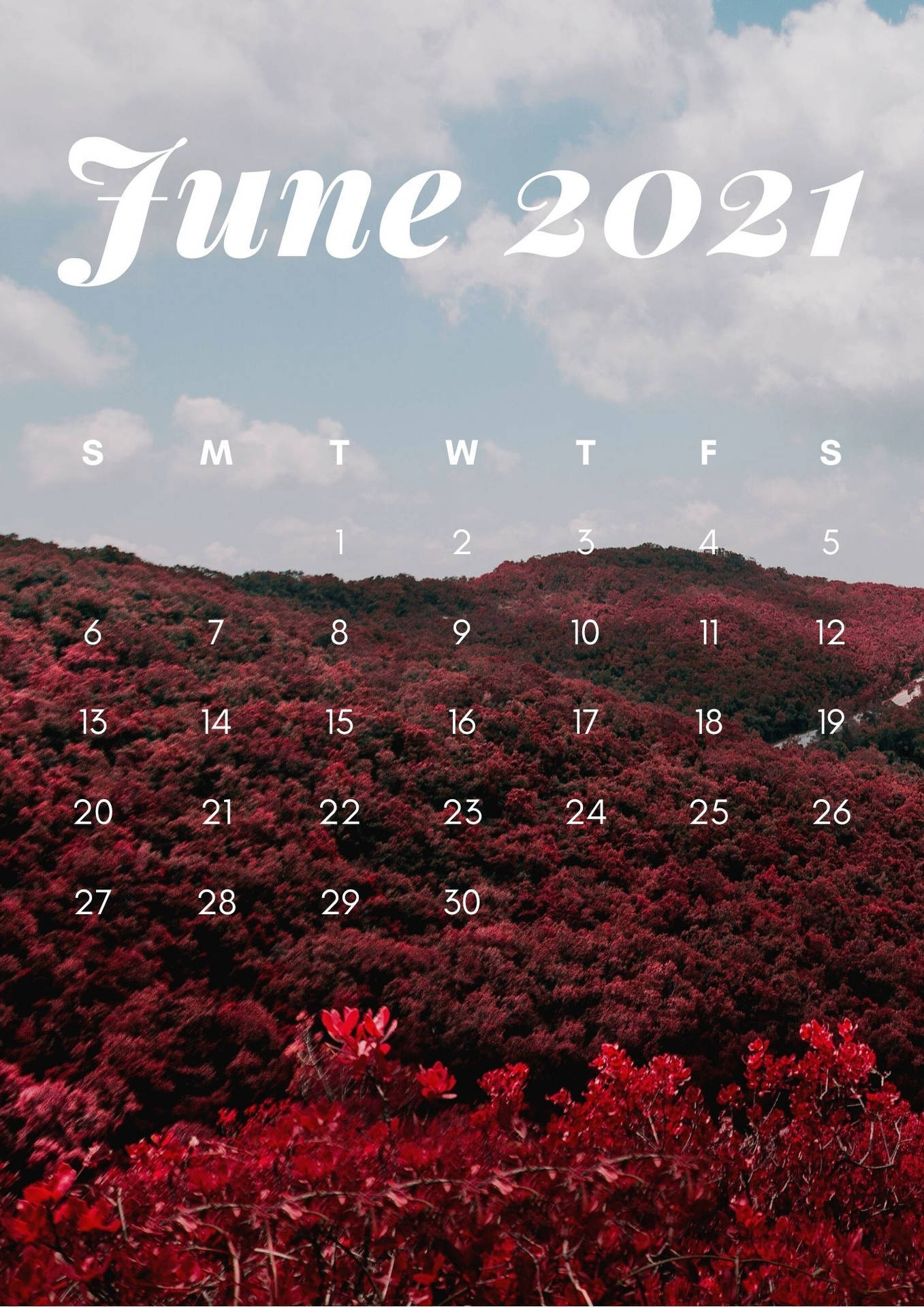 June 2021 Calendar Iphone Screen