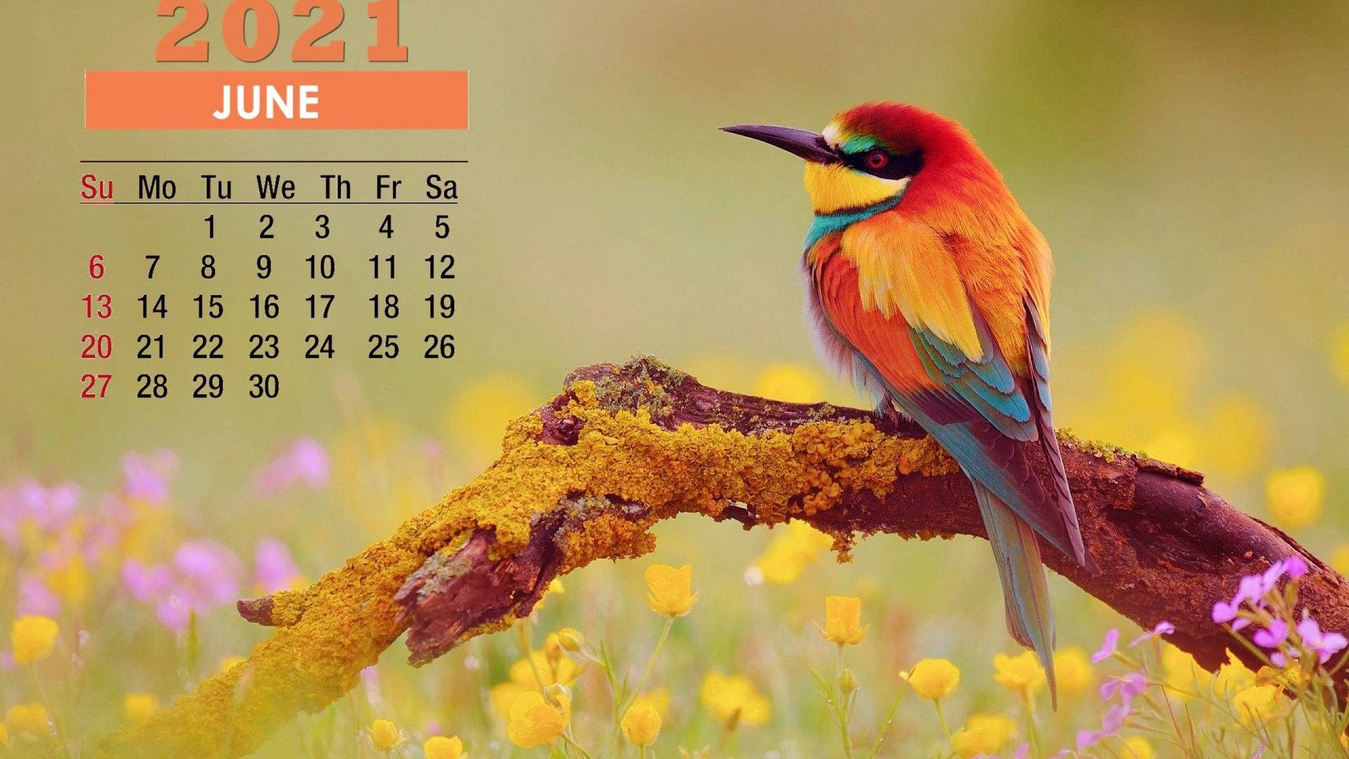 June 2021 Calendar Wallpapers