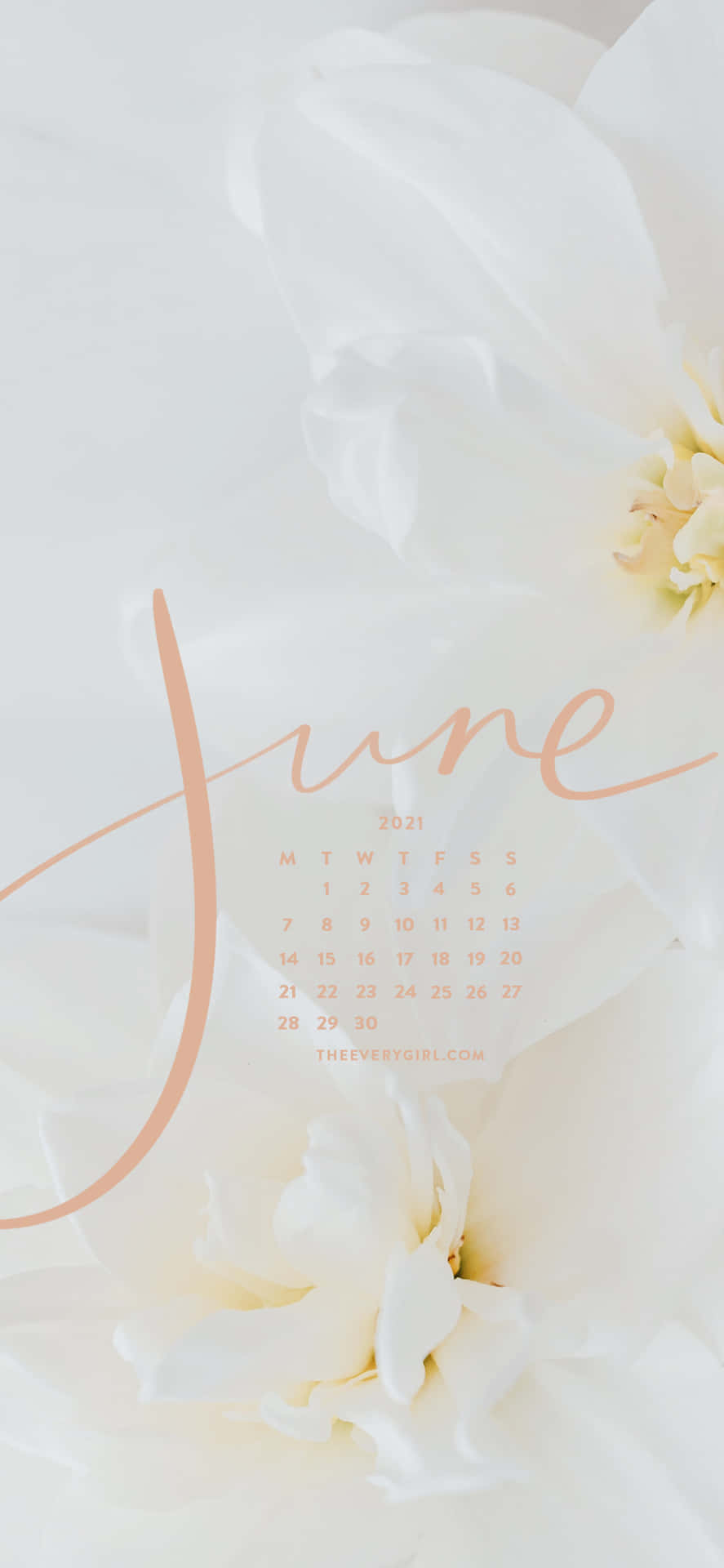 June Calendar With White Flowers Background