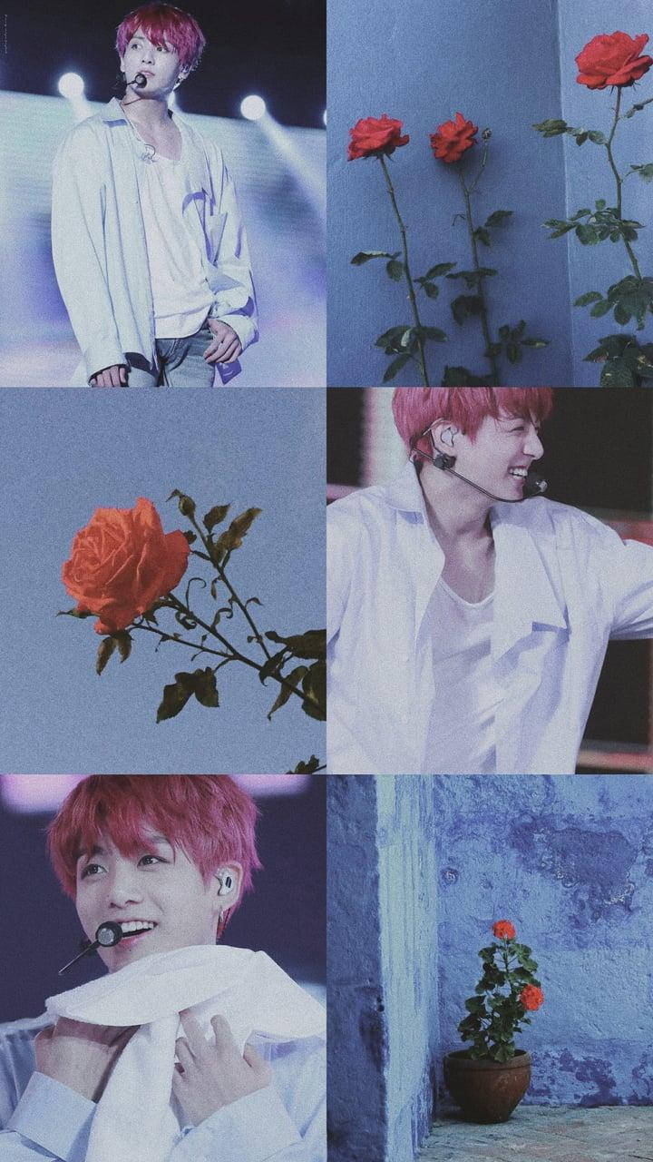 Jungkook Aesthetic Red Roses Background