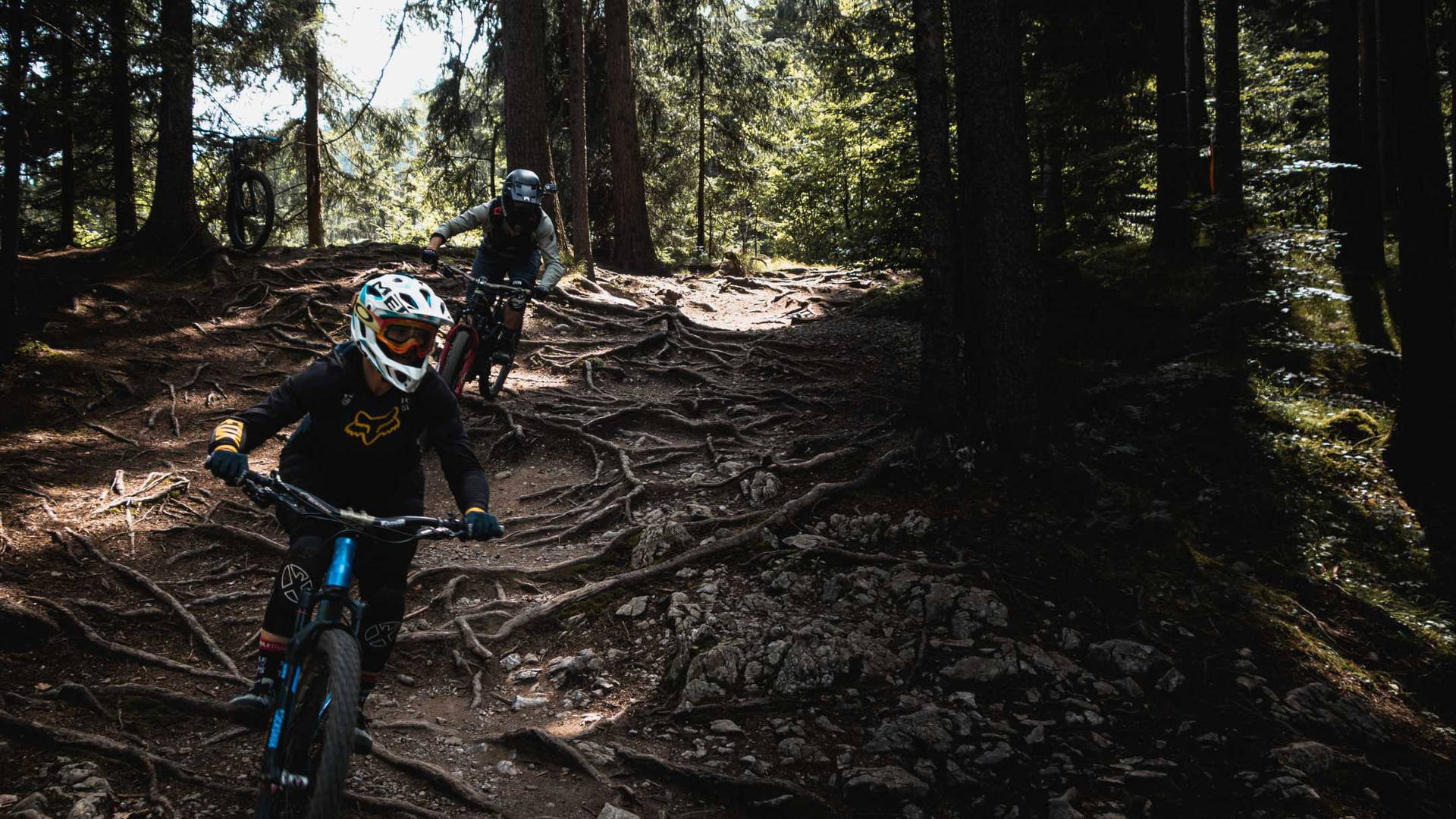 Jungle Mountain Biking At Rainforest Background