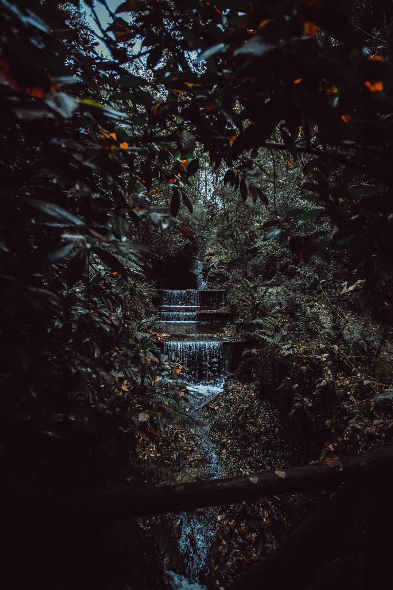 Jungle Waterfall Stream Background