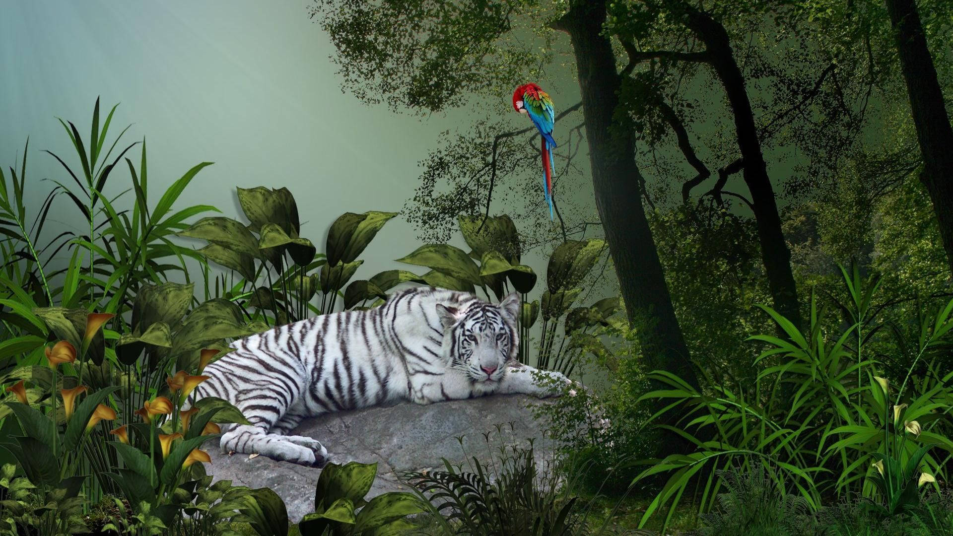 Jungle White Tiger And Macaw