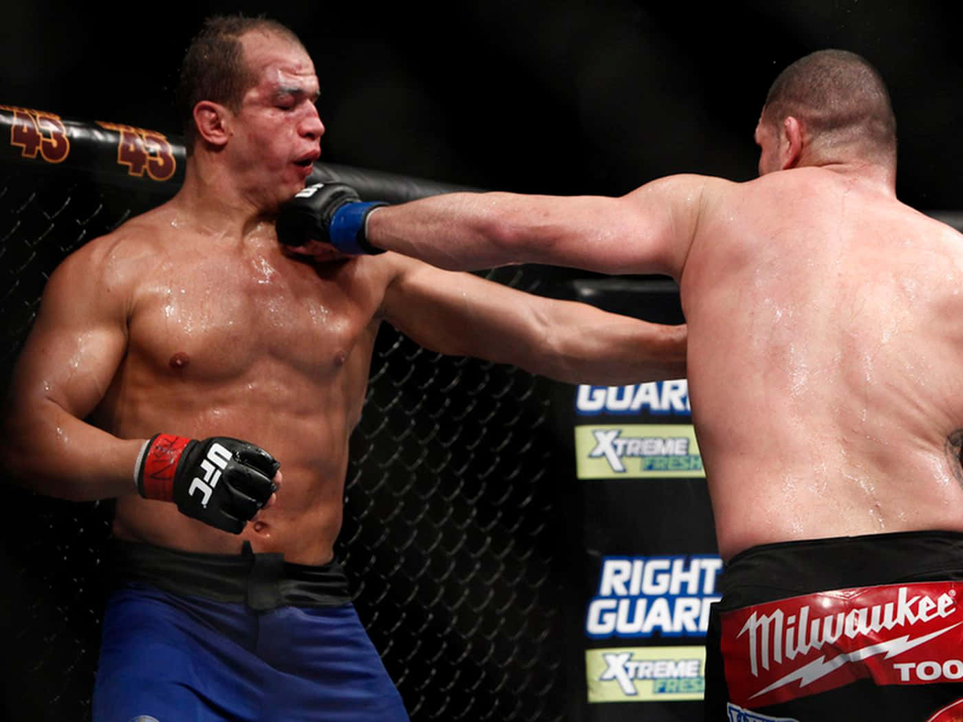 Junior Dos Santos Cain Velasquez Fight Background