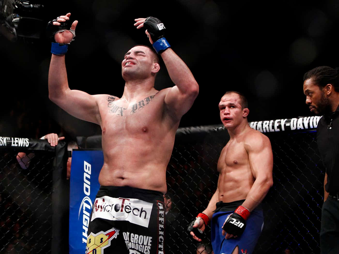 Junior Dos Santos Cain Velasquez Rematch Background