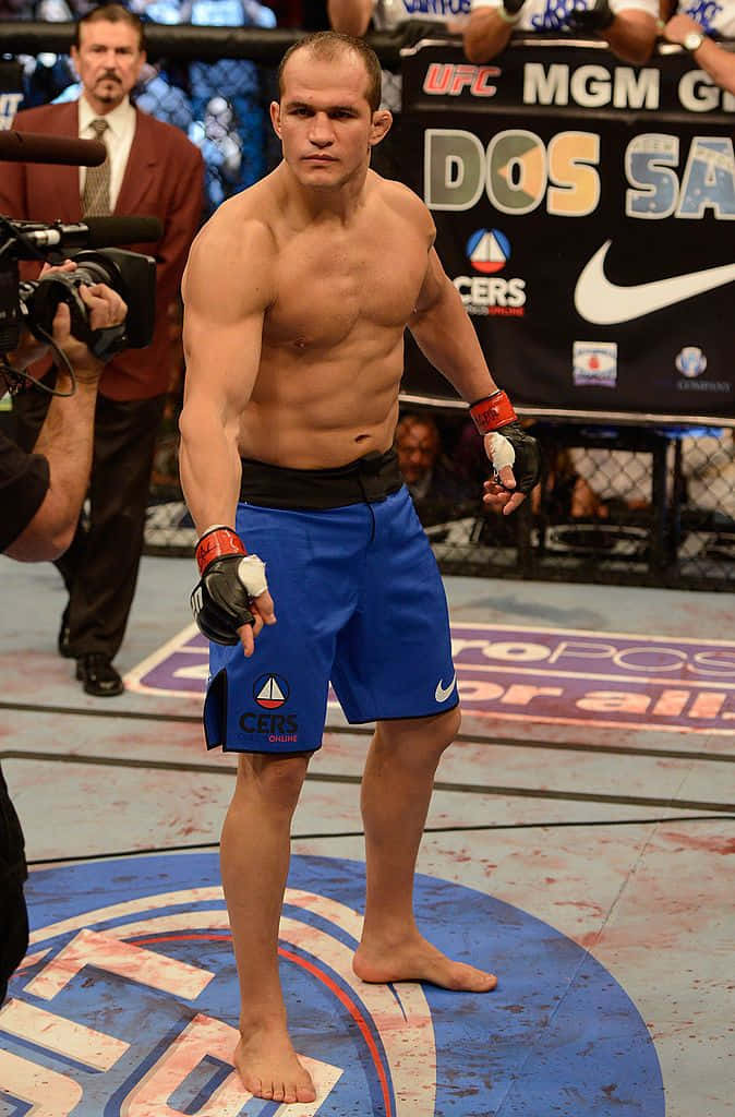 Junior Dos Santos Mgm Grand Garden Arena Background