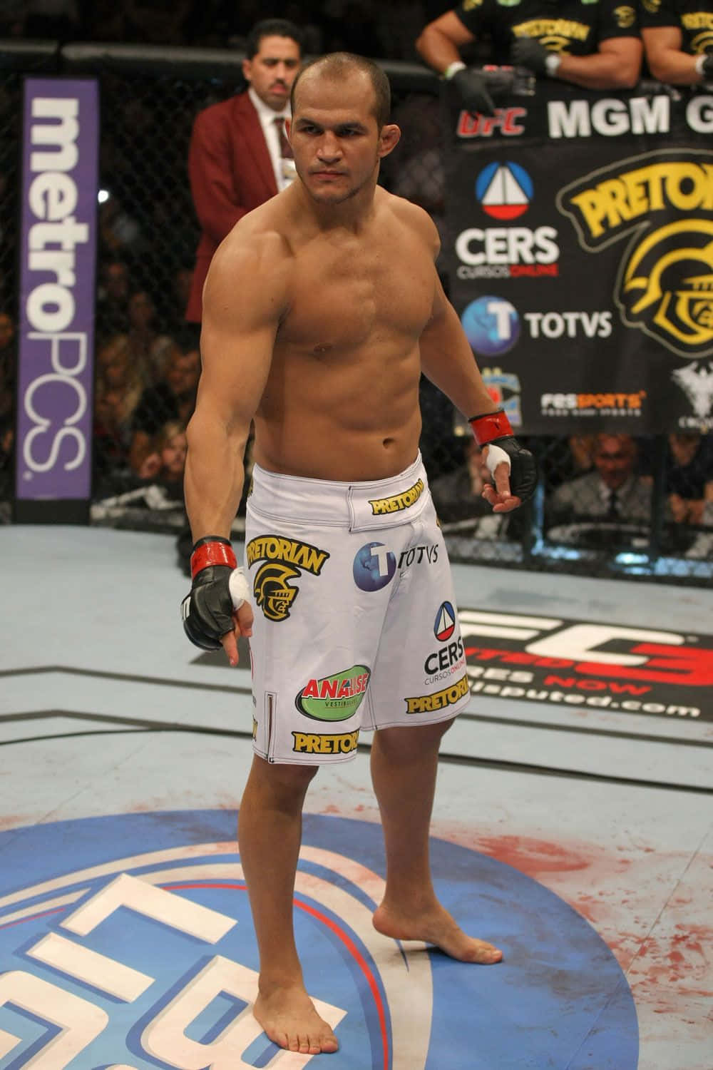 Junior Dos Santos Pre-fight Point Background