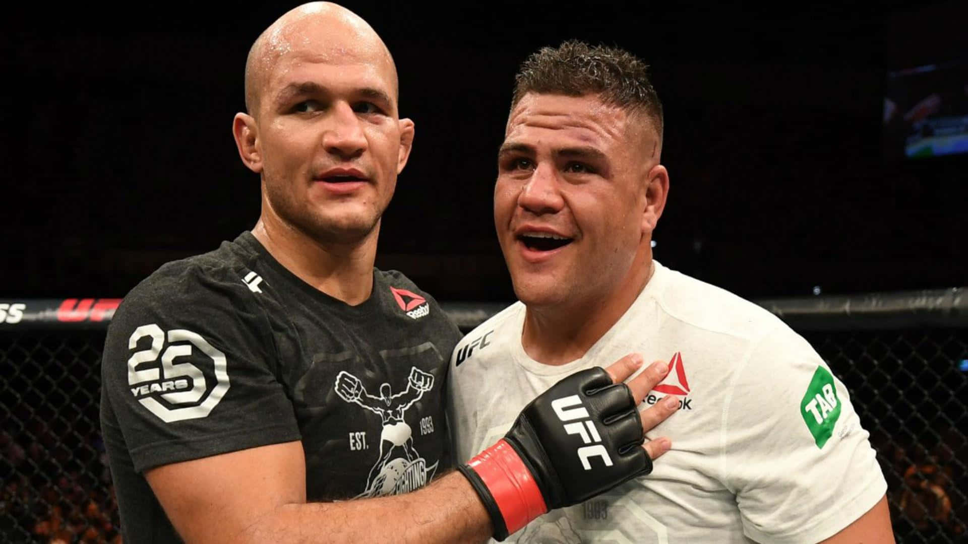 Junior Dos Santos Tai Tuivasa All Smiles Background