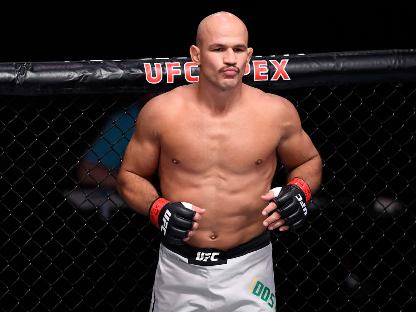 Junior Dos Santos Ufc 252 Background