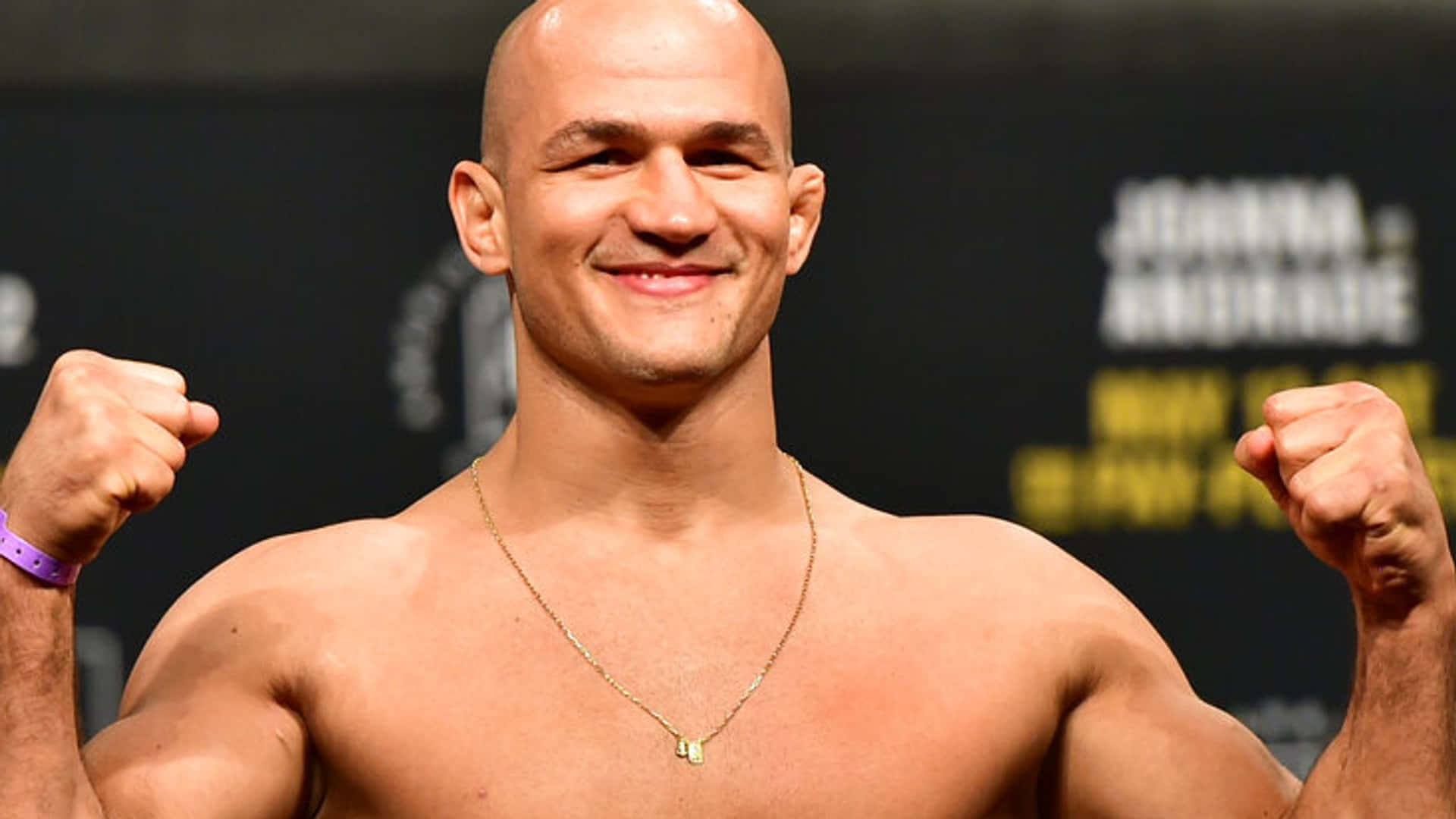 Junior Dos Santos Ufc Heavyweight Champion Background