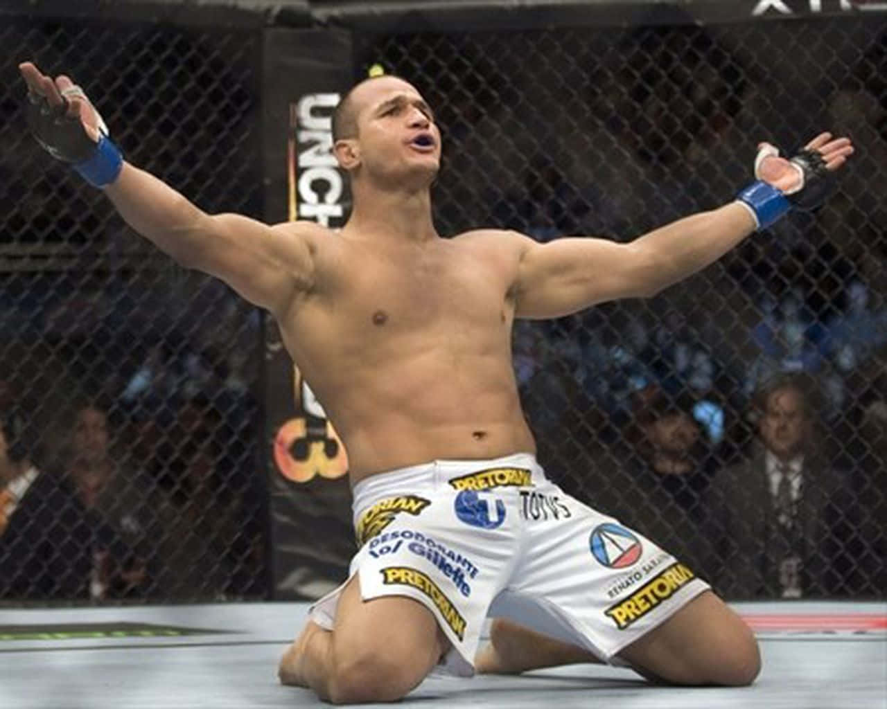 Junior Dos Santos Ufc Heavyweight Background