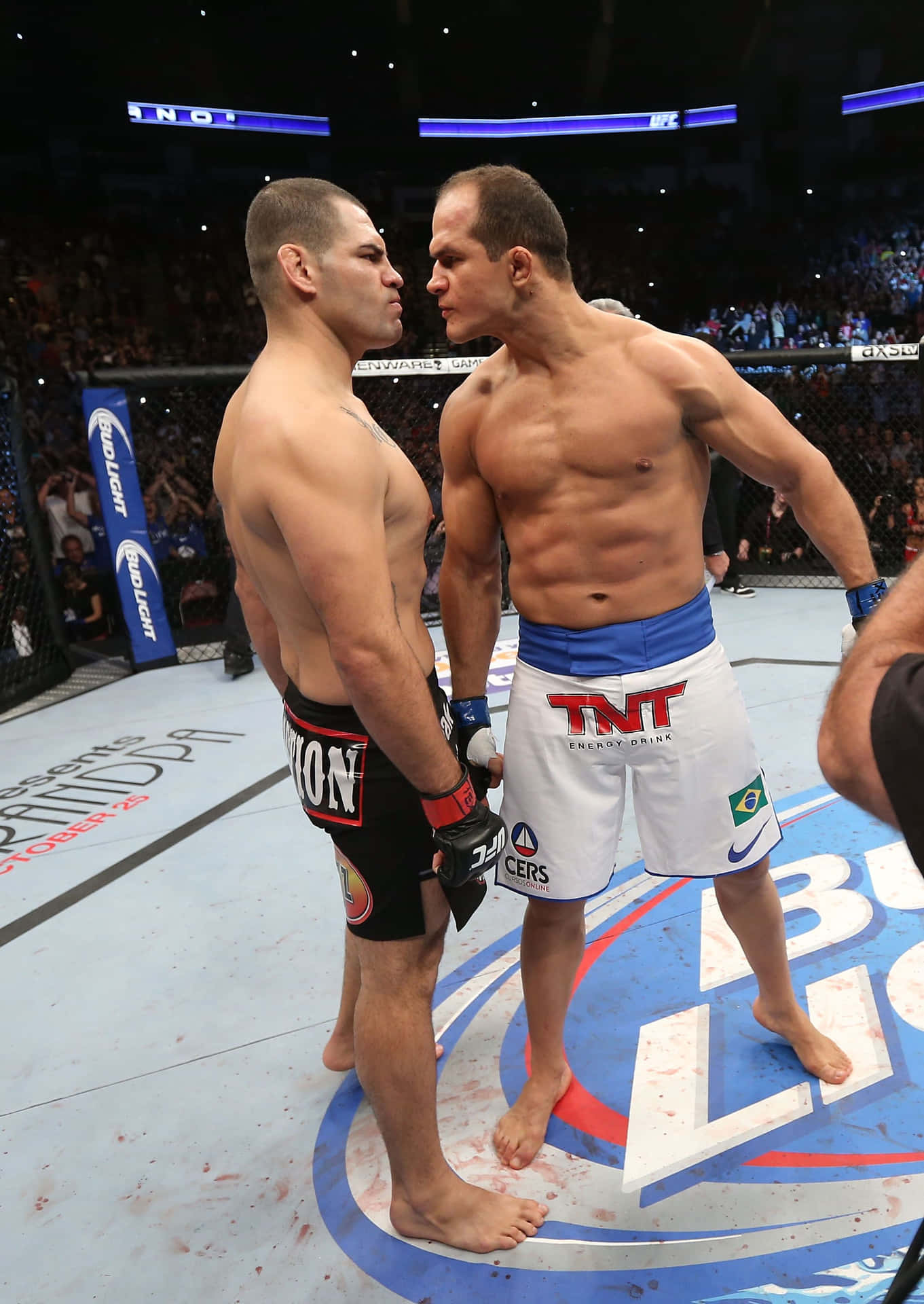 Junior Dos Santos Ufc On Fox 1 Background