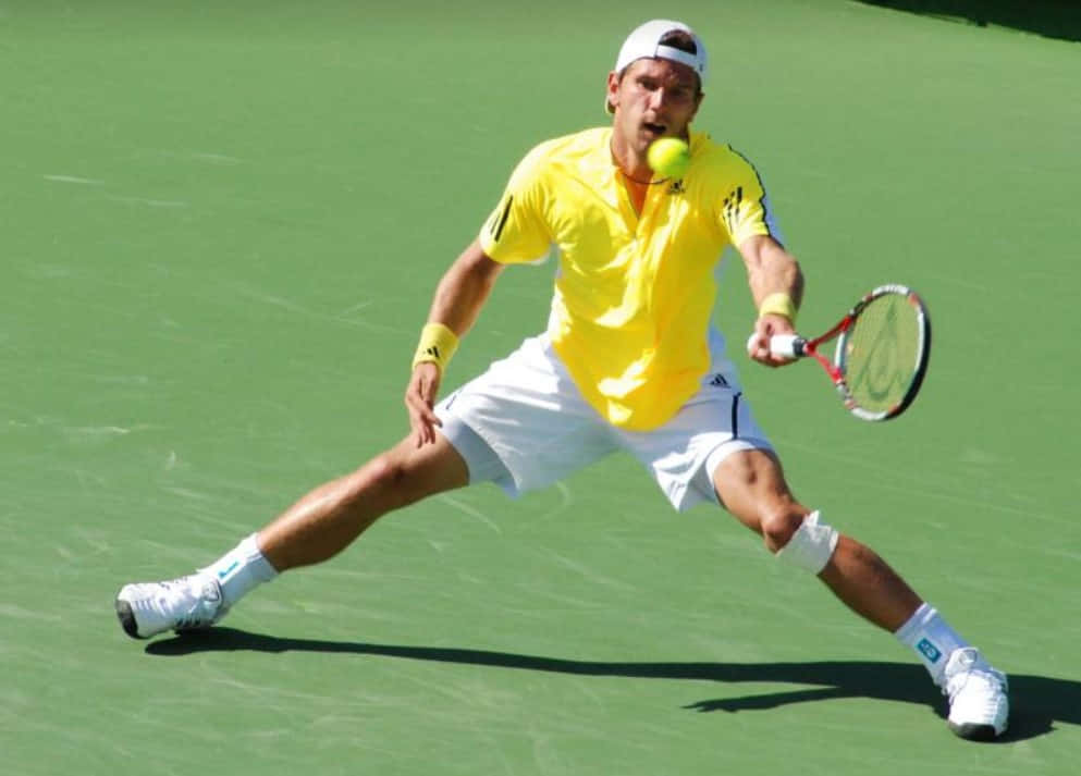 Jurgen Melzer In Almost-split Position