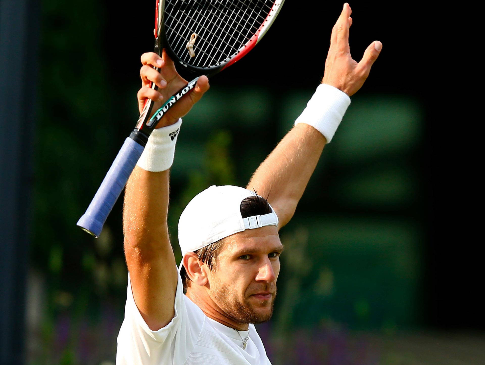 Jurgen Melzer With Raised Arms Background