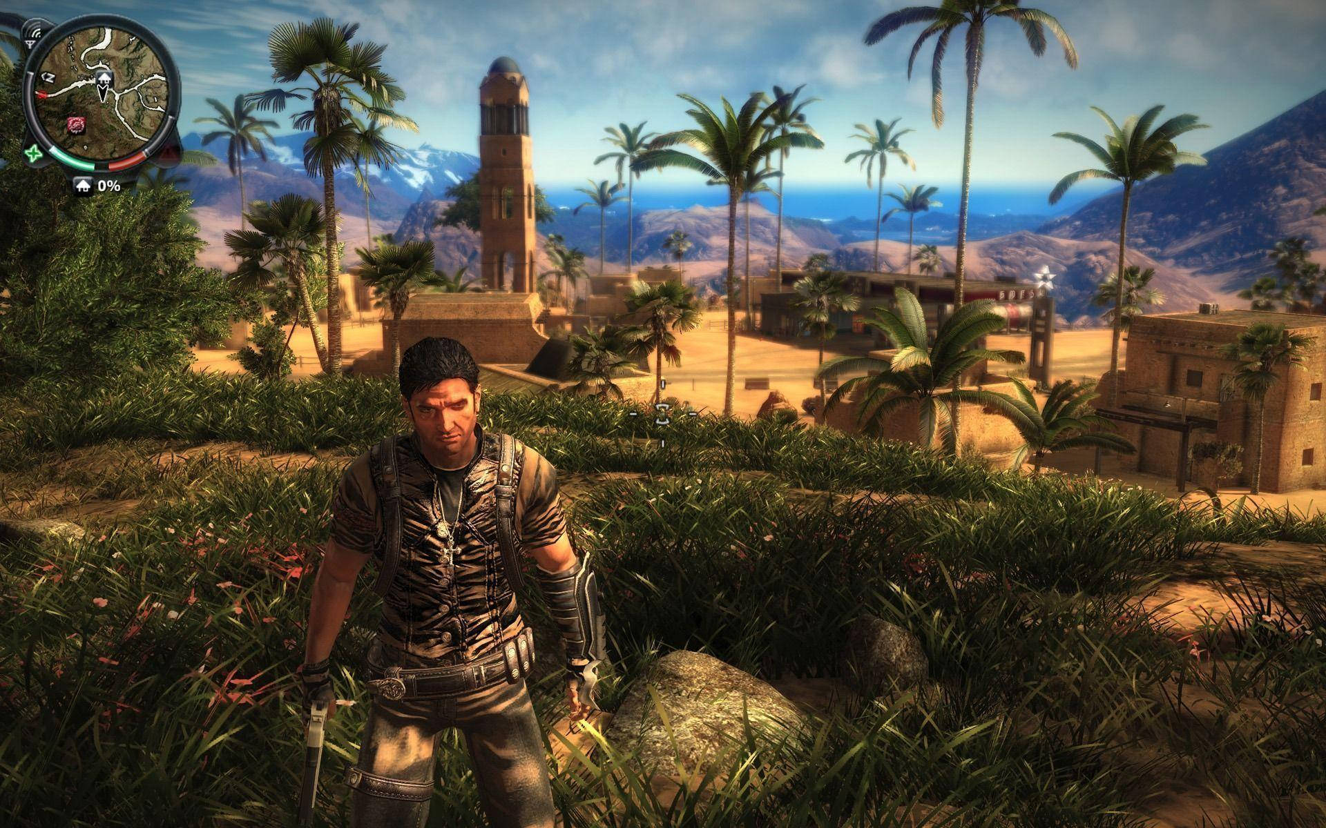 Just Cause 2 Palm Trees Background