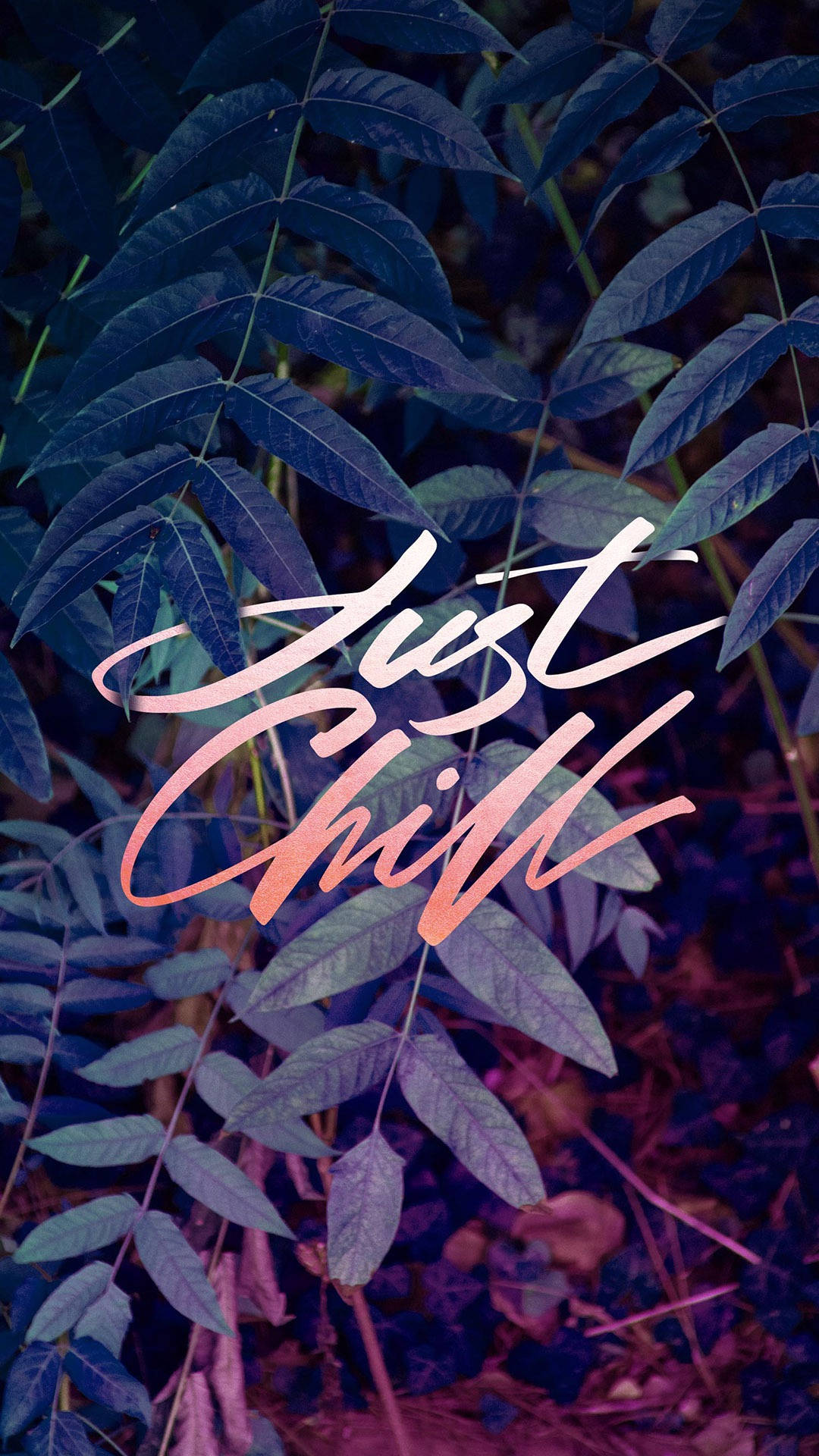 Just Chill Leaves Aesthetic