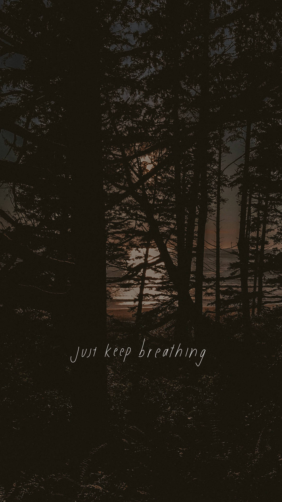 Just Keep Breathing Dark Forest Background