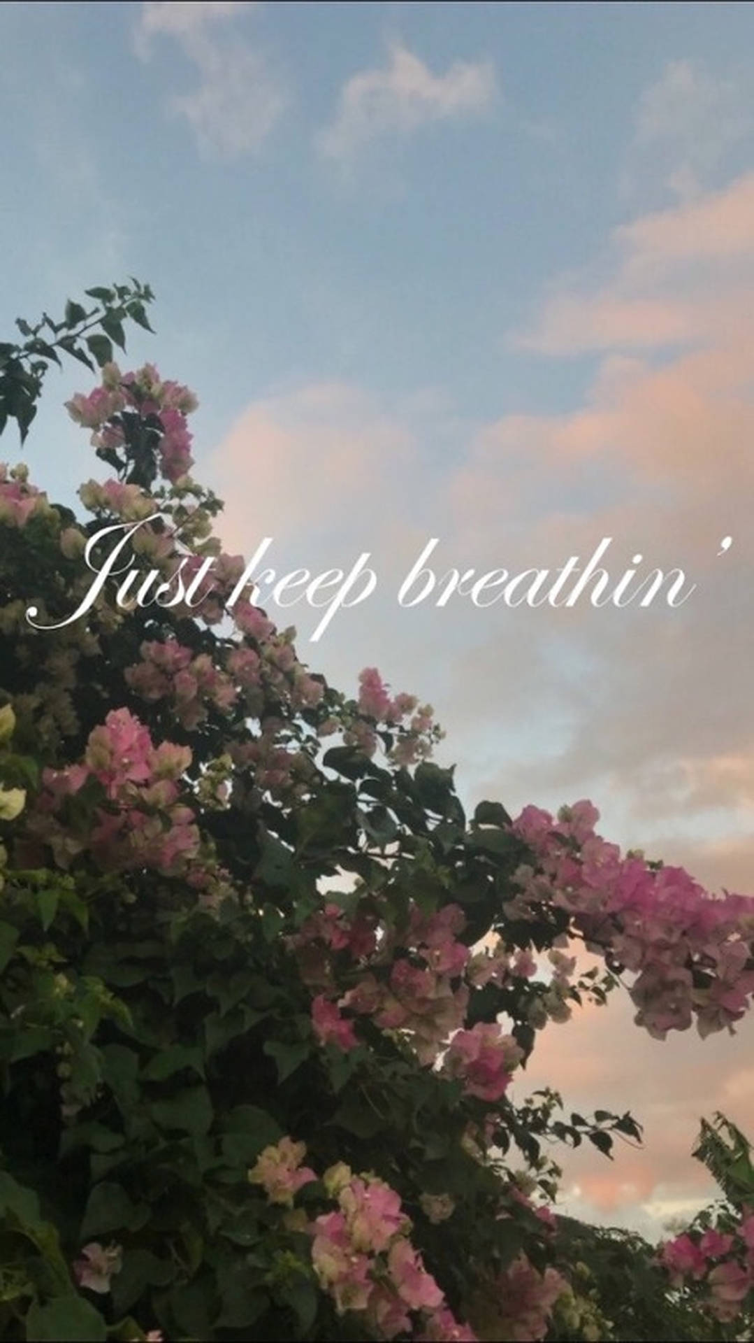 Just Keep Breathing Pink Flowers Background