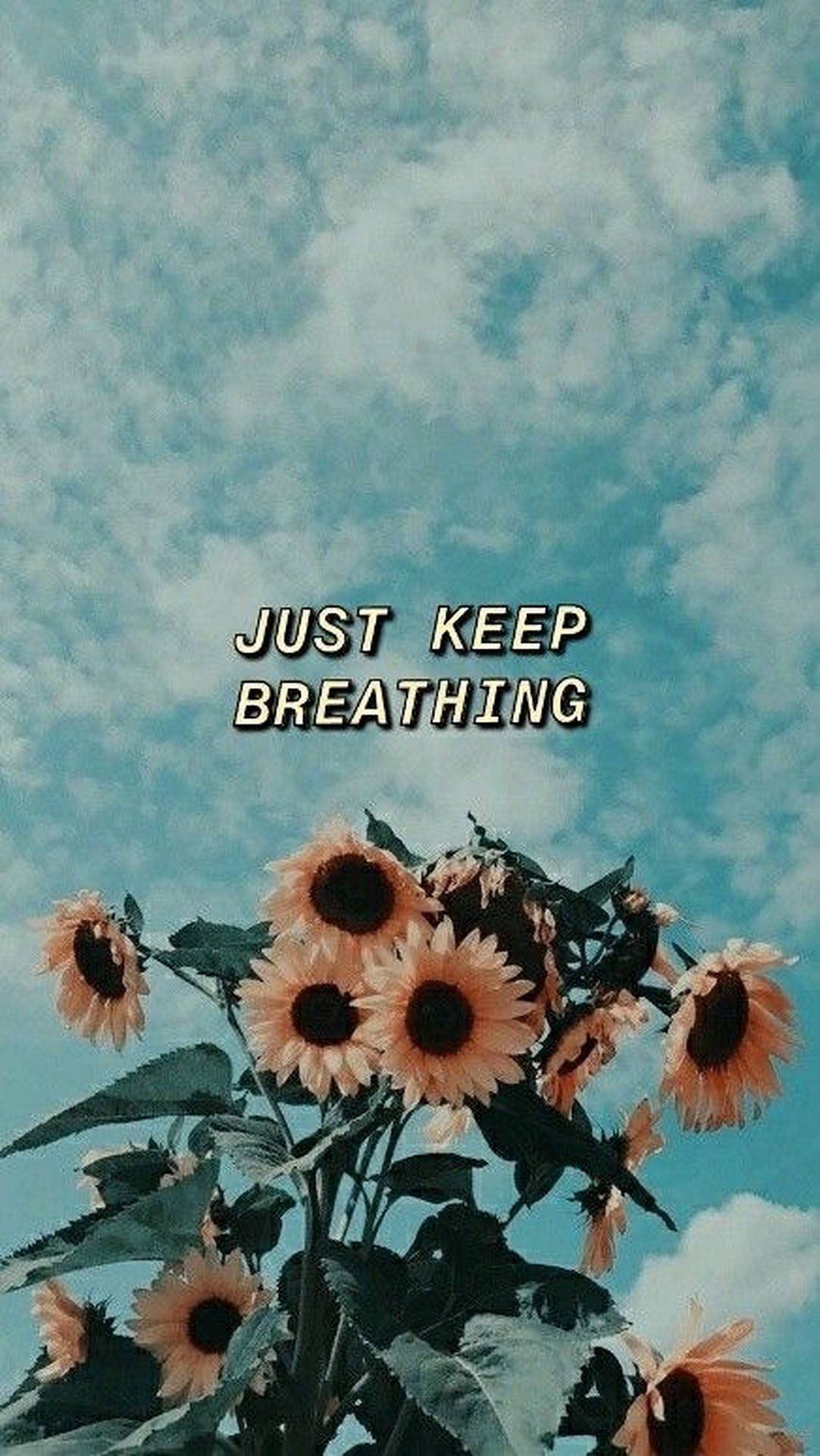 Just Keep Breathing Sunflowers Background