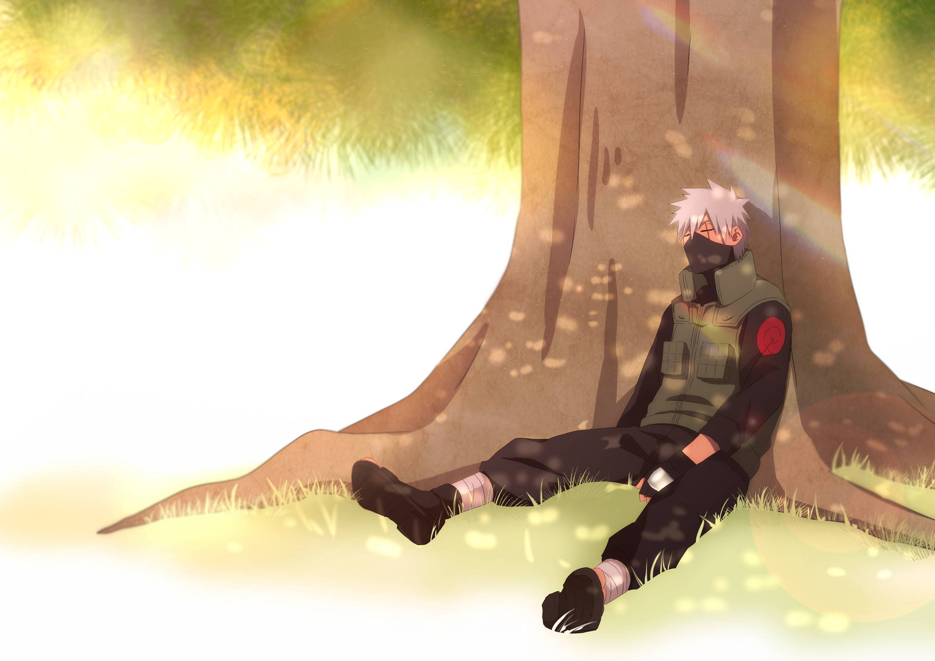 Kakashi 4k Sleeping Under Tree Background