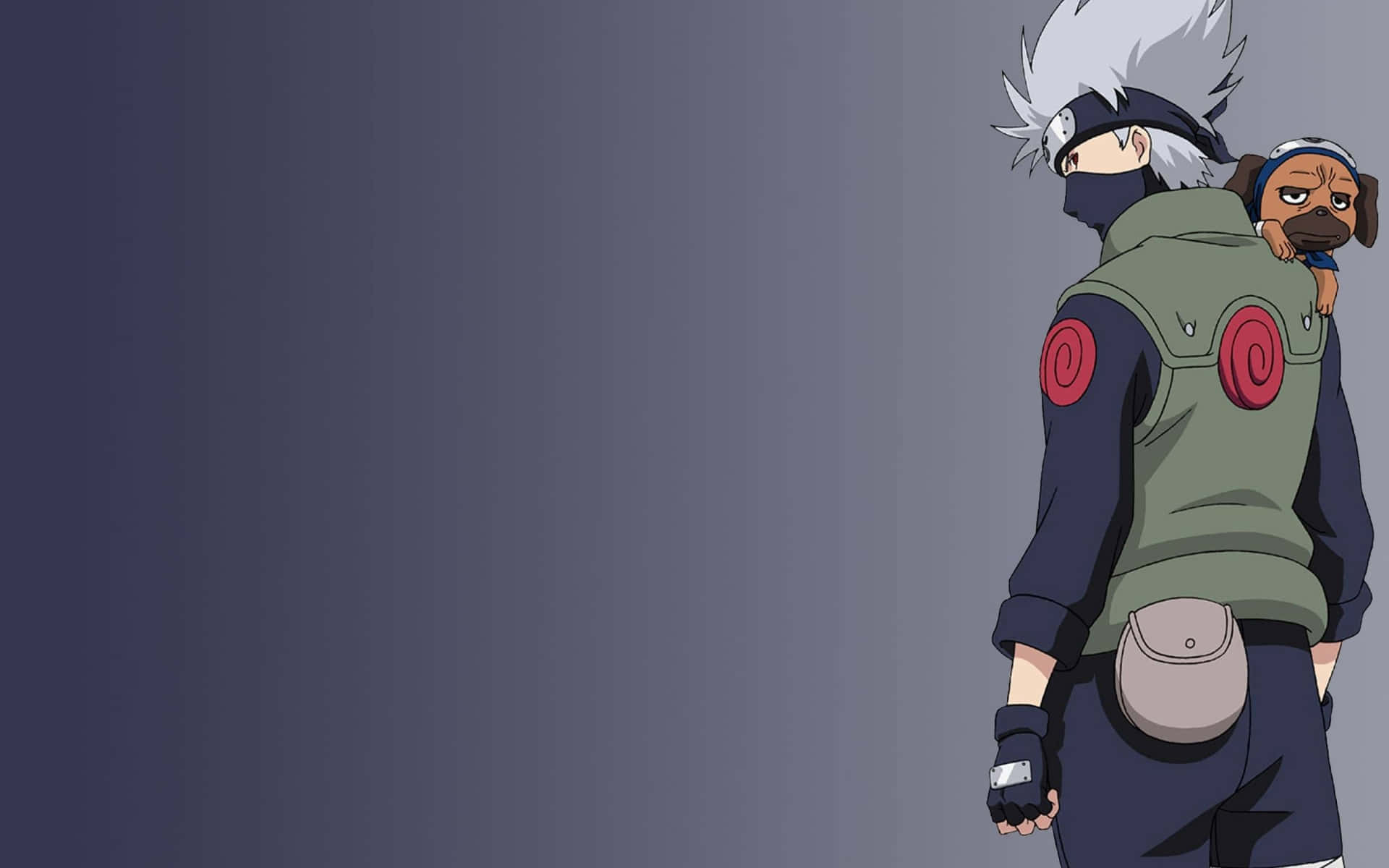 Kakashi Aesthetic Holding Dog Background