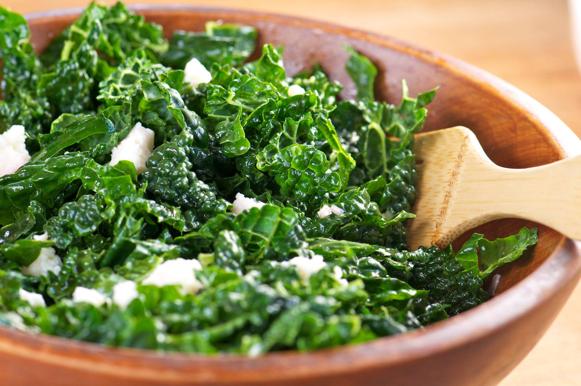 Kale With Mozzarella Cheese Background