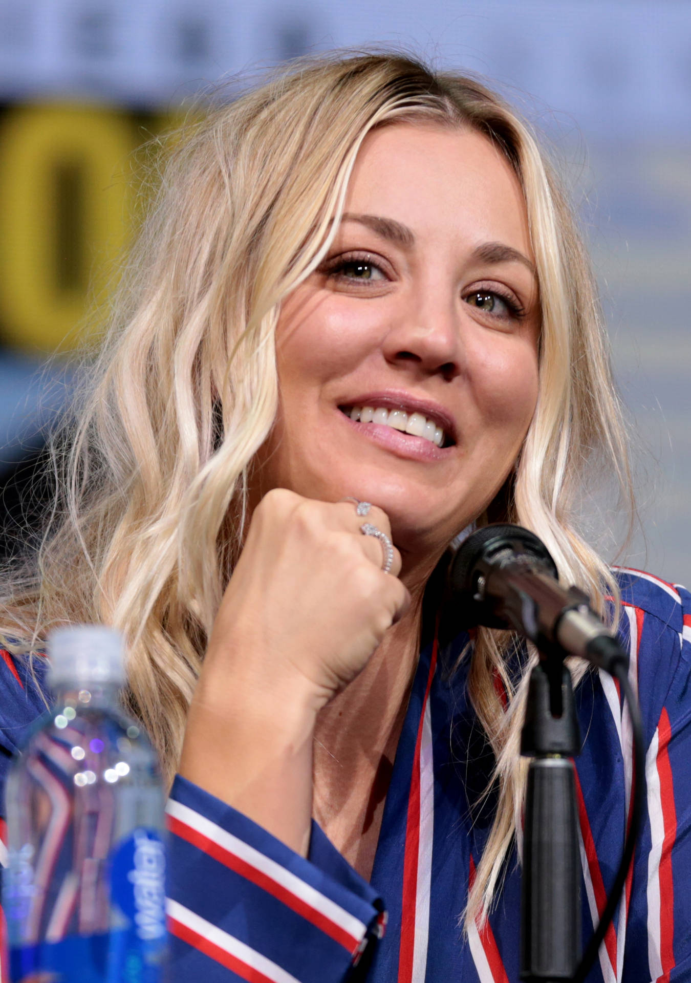Kaley Cuoco During Interview Background