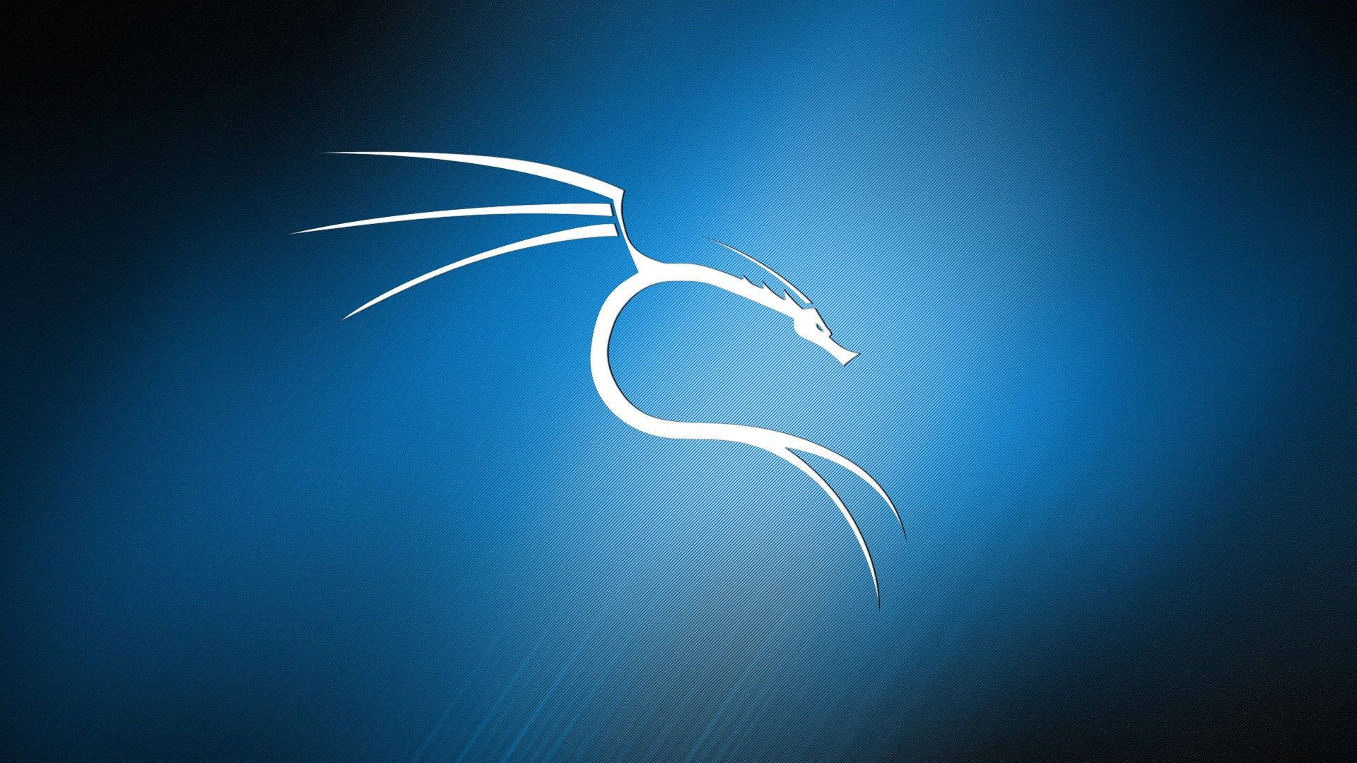 Kali Linux In Gradient Blue Background