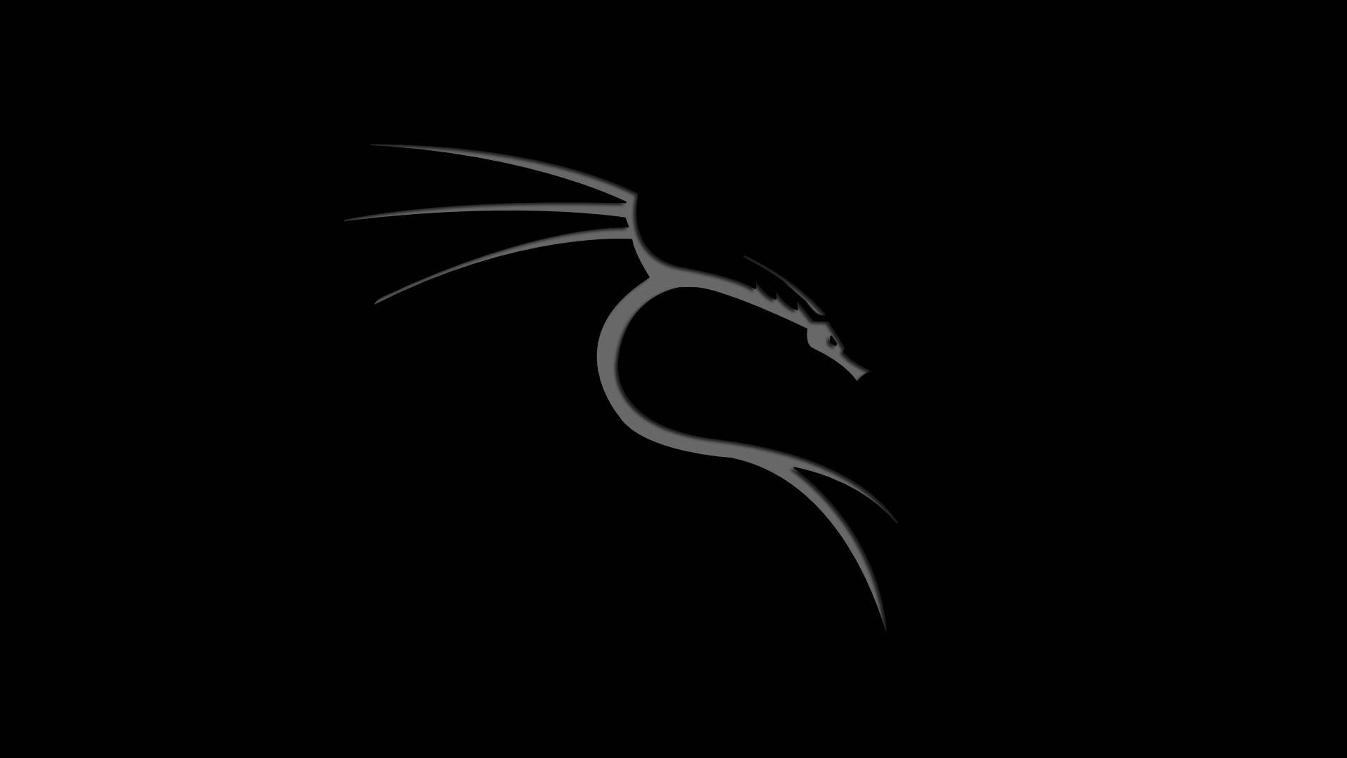 Kali Linux Os Dragon Black