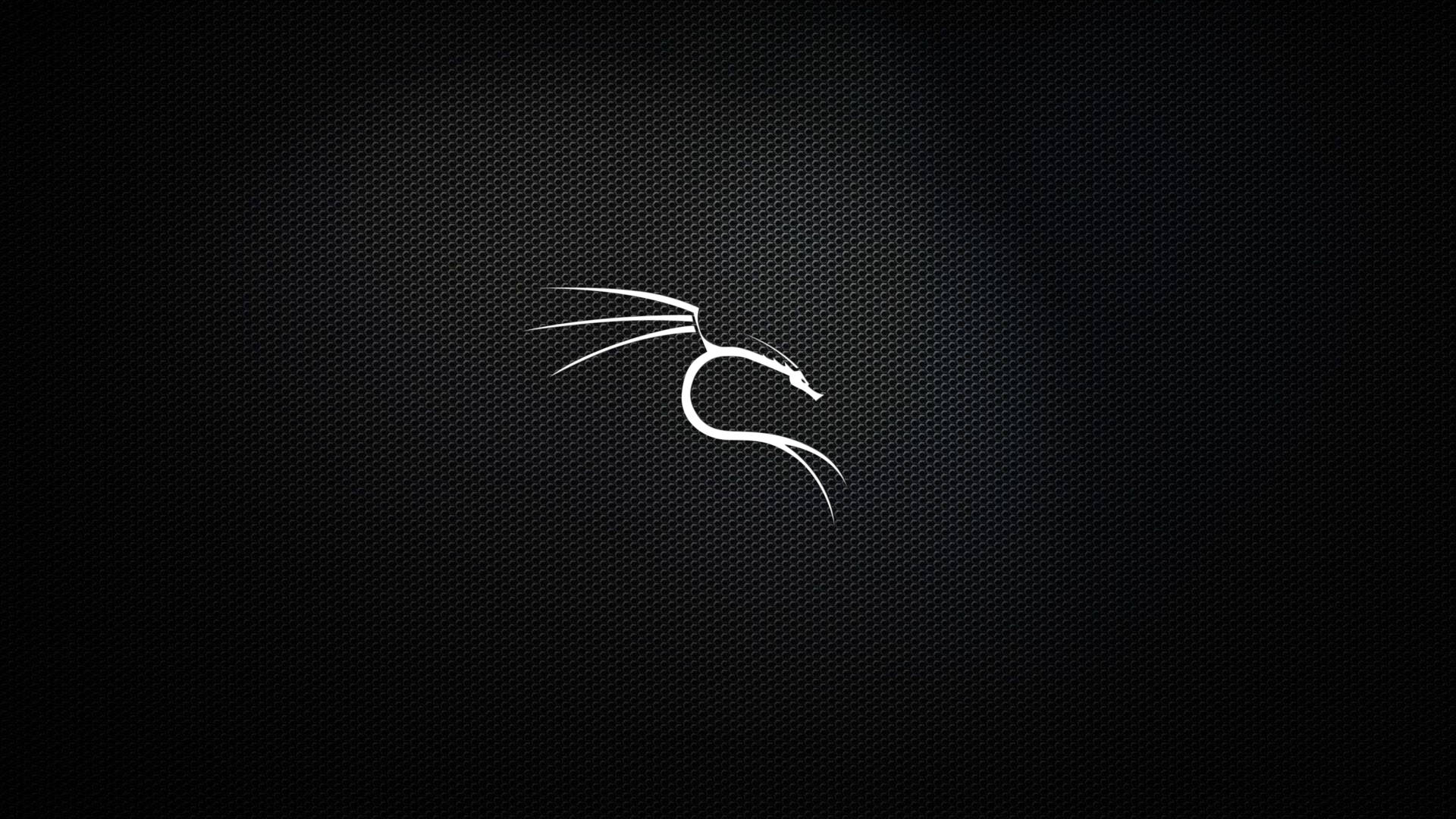 Kali Linux Silver Dragon Logo Background