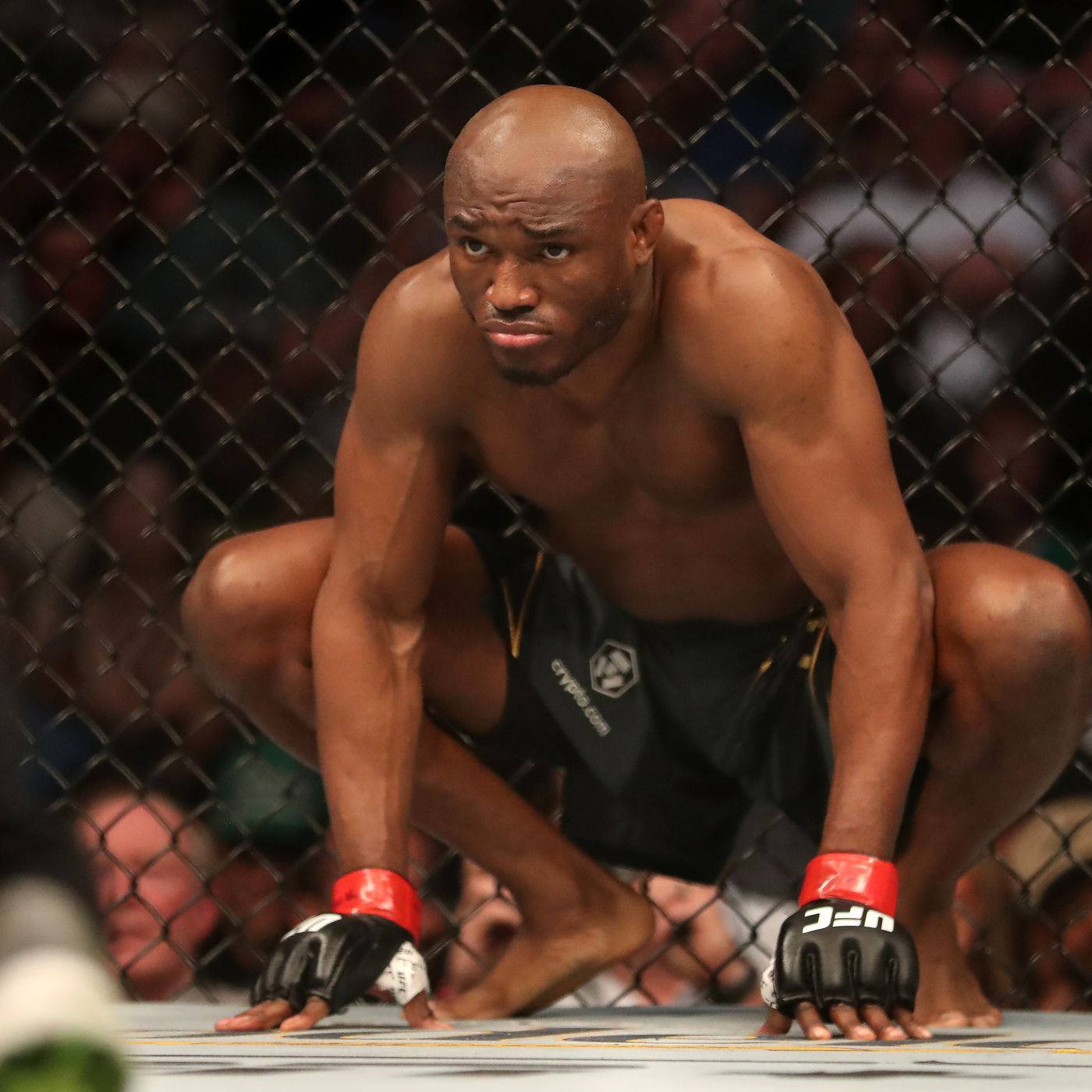 Kamaru Usman Hands Ground