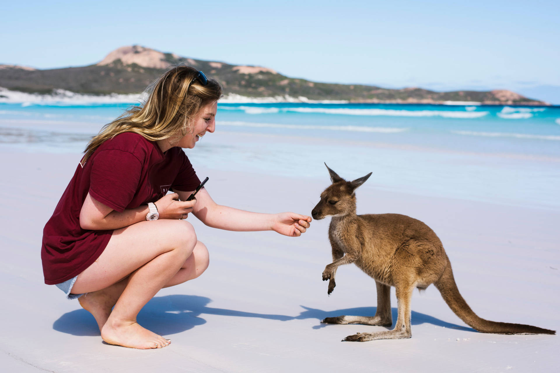 Kangaroo With Girl Background