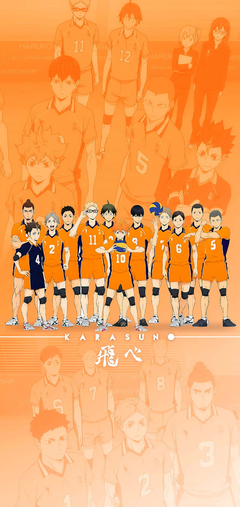 Karasuno High School - Fly Higher! Background