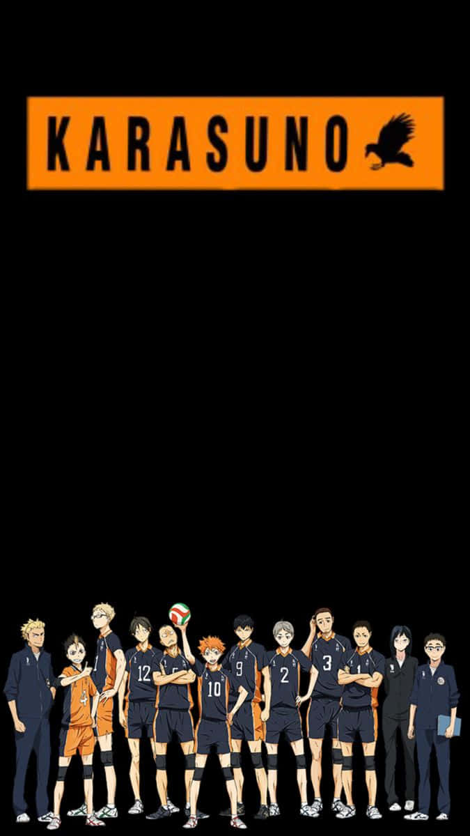 Karasuno High Volleyball Team Haikyuu Background