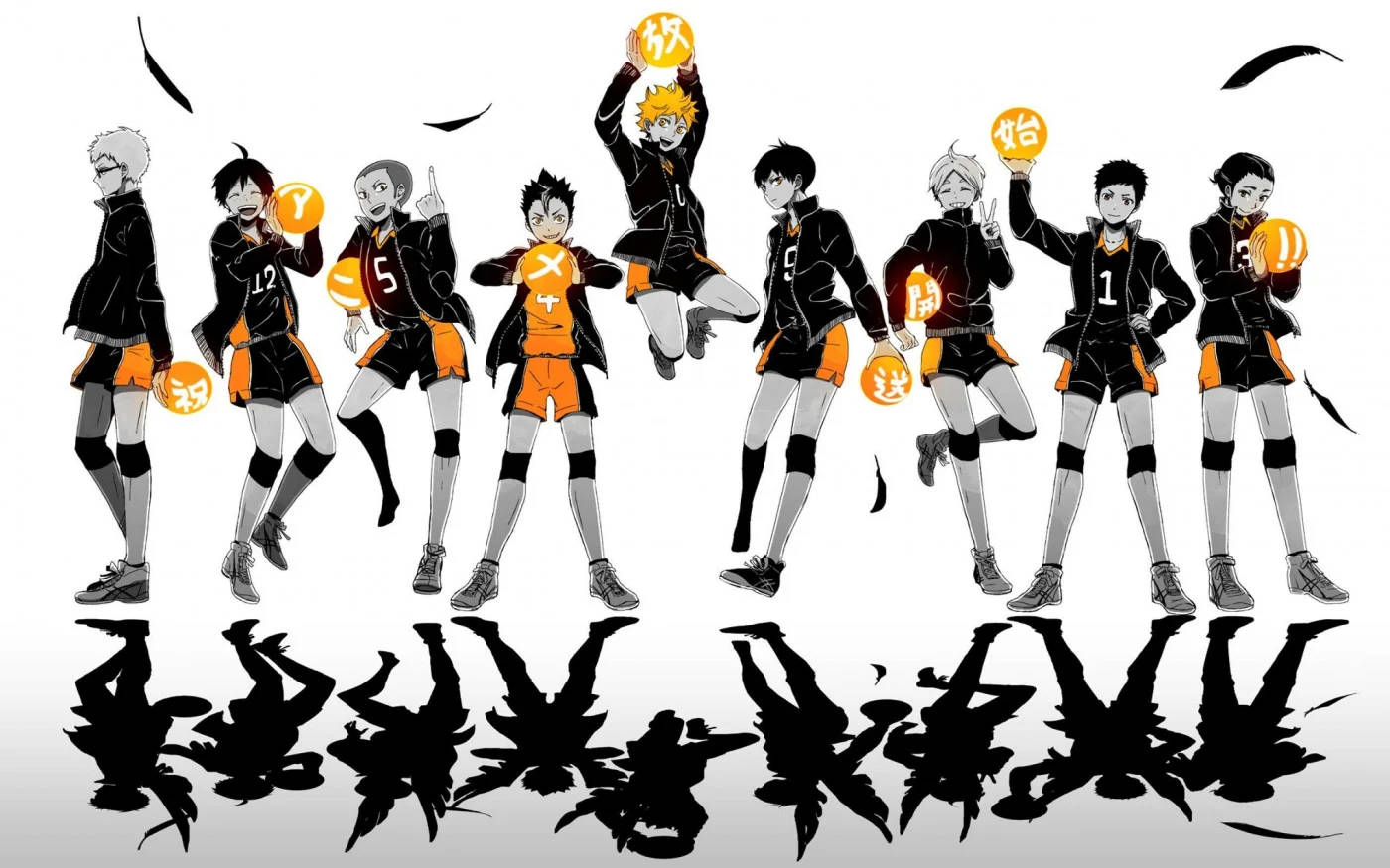 Karasuno Team With Feathers Haikyuu Aesthetic Background