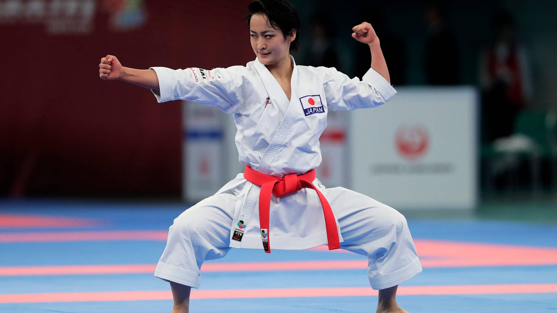 Karate Kiyou Shimizu Fighting Stance