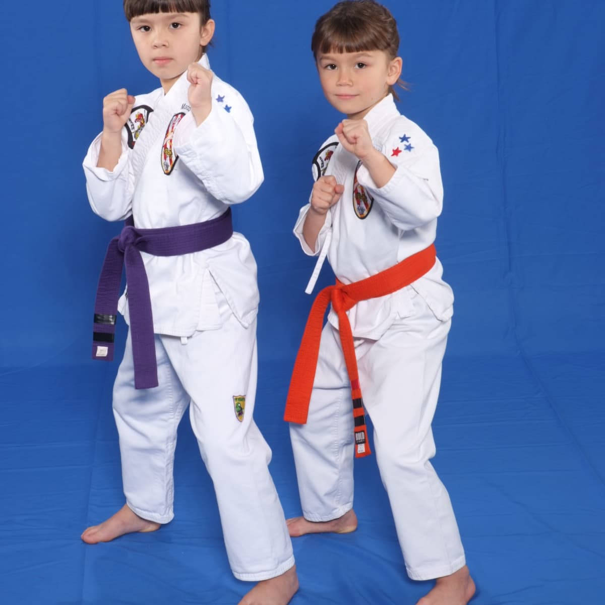 Karate Two Kids Posing