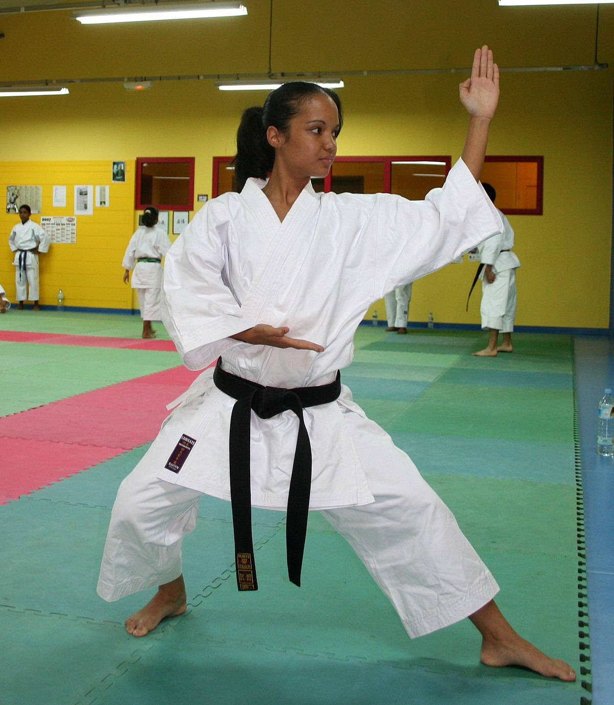 Karate Woman Fighting Stance