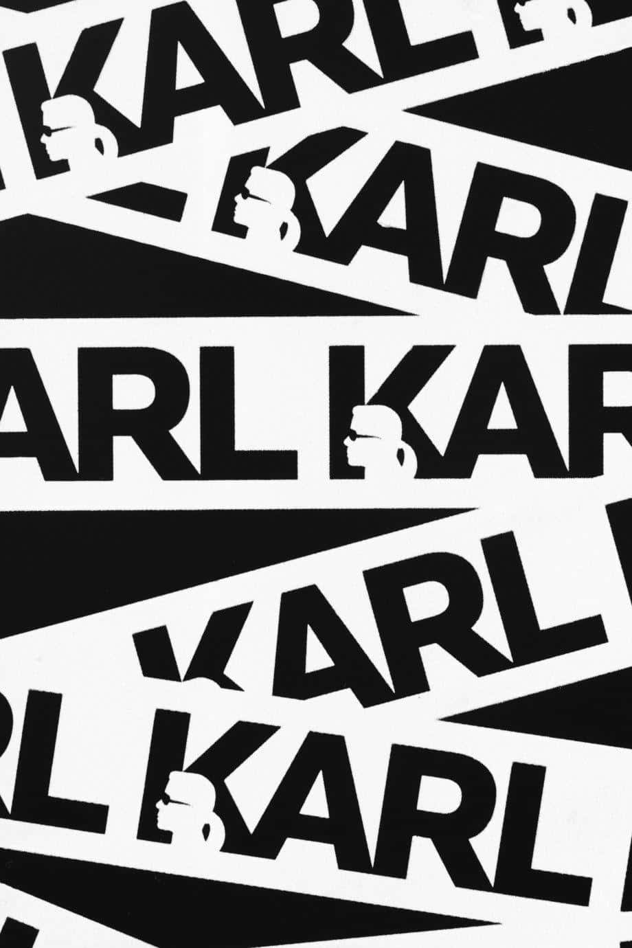 Karl Lagerfeld Captured In Revered Classic Gothic Styling Background