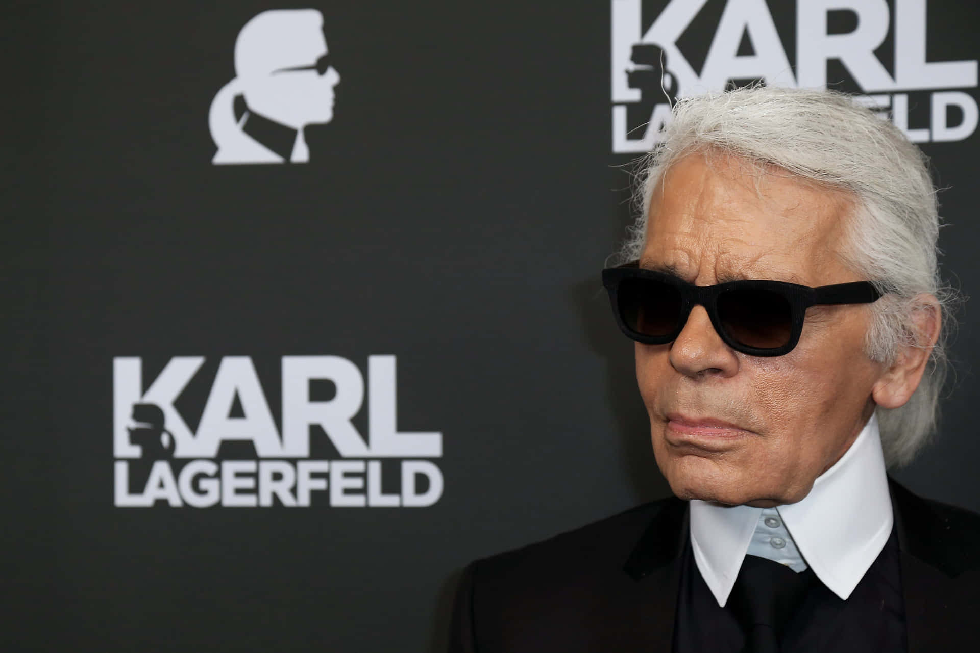 Karl Lagerfeld In Sunglasses At The Karl Lagerfeld Fashion Show Background