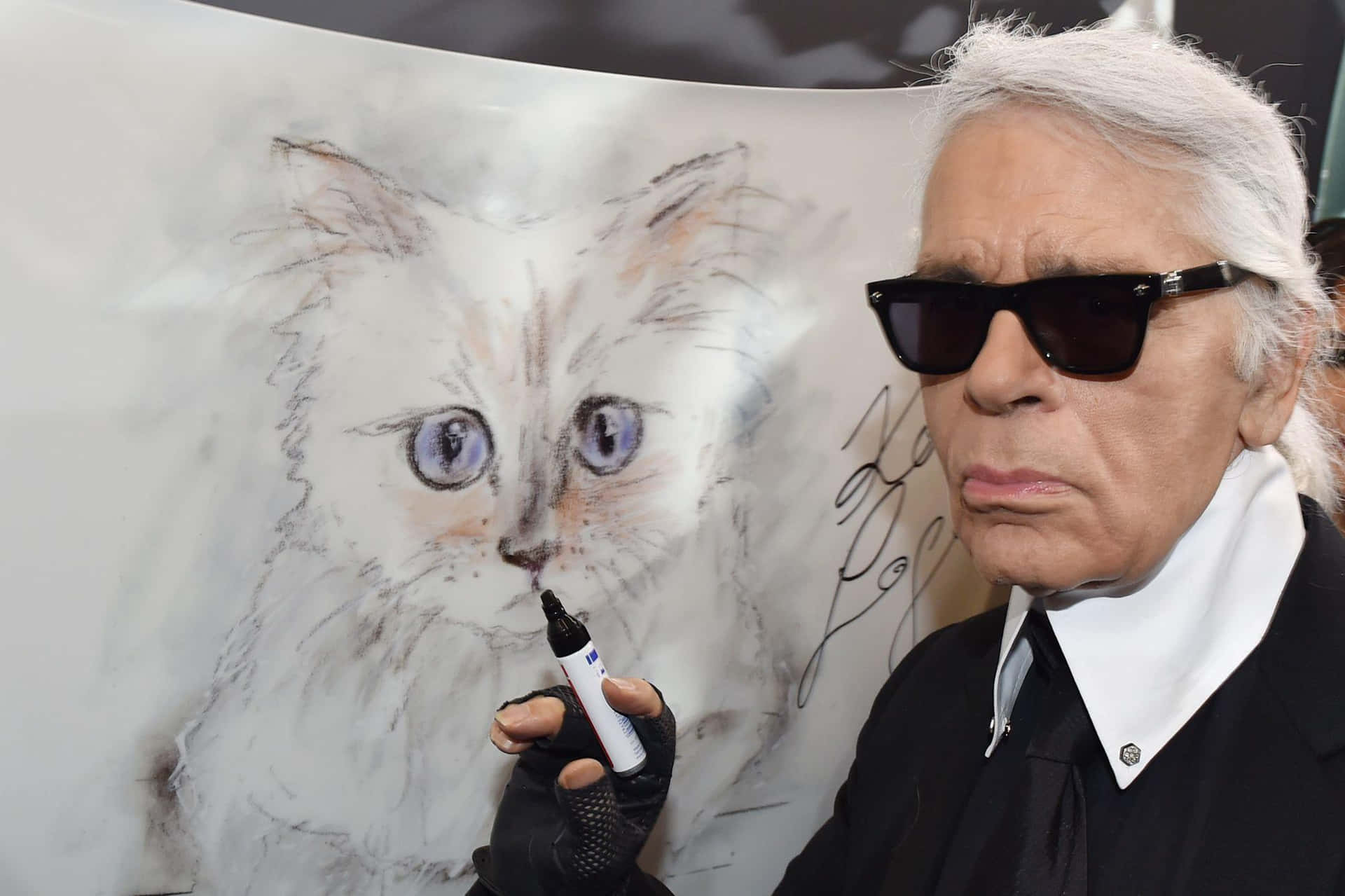Karl Lagerfeld's Cat Drawing Background