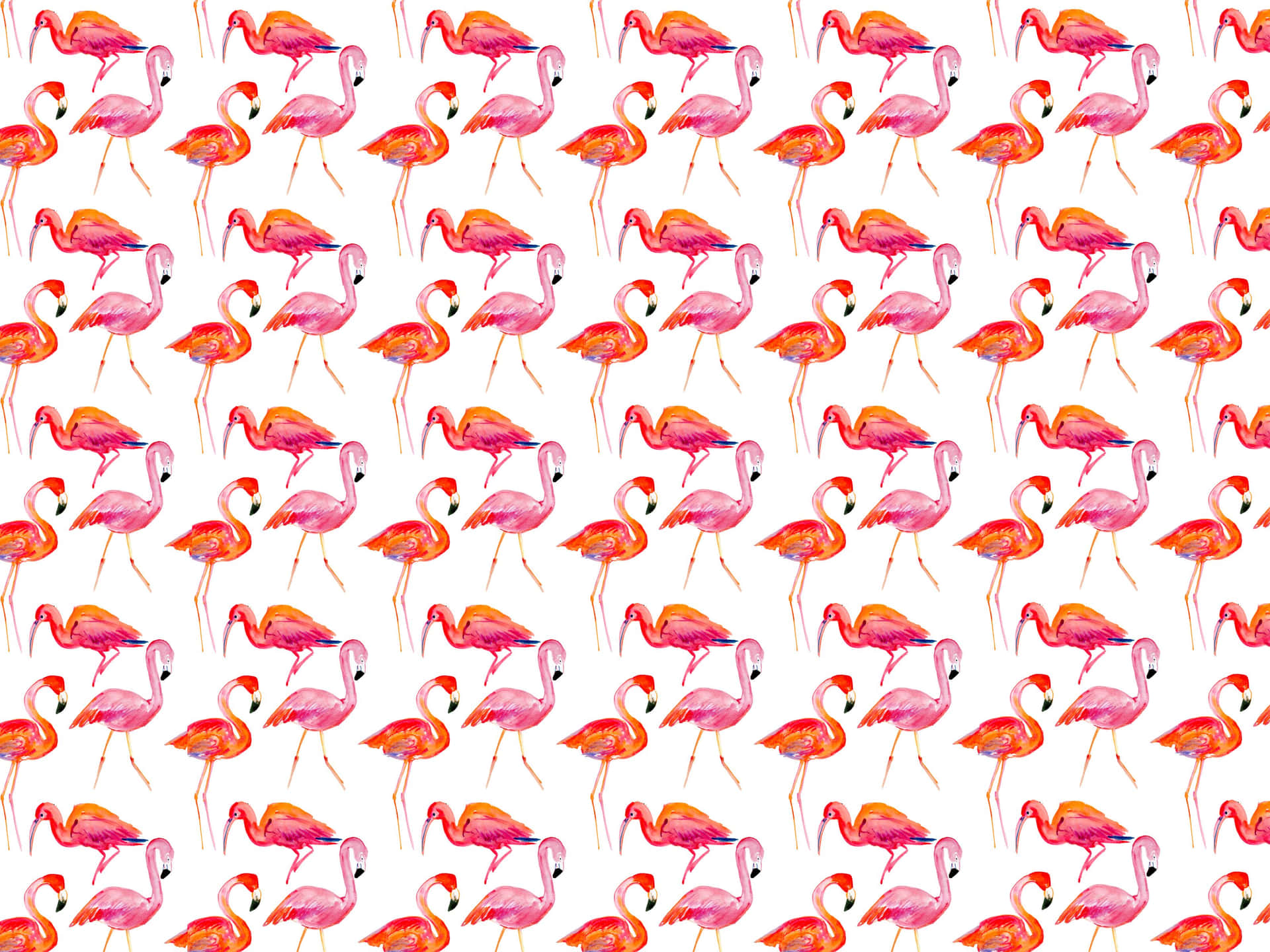 Kate Spade Desktop Flamingo Pattern