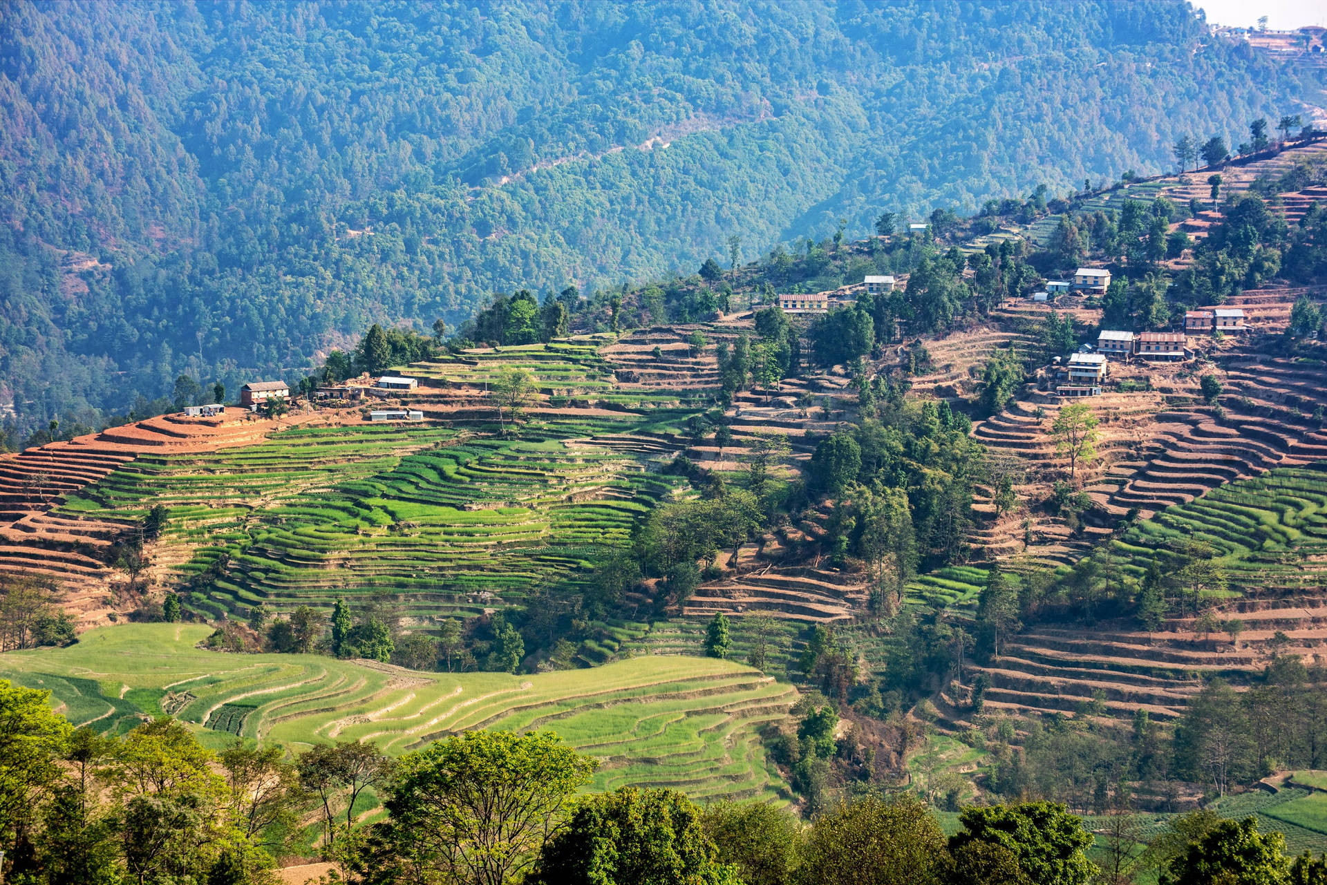 Kathmandu Mountain Terraces