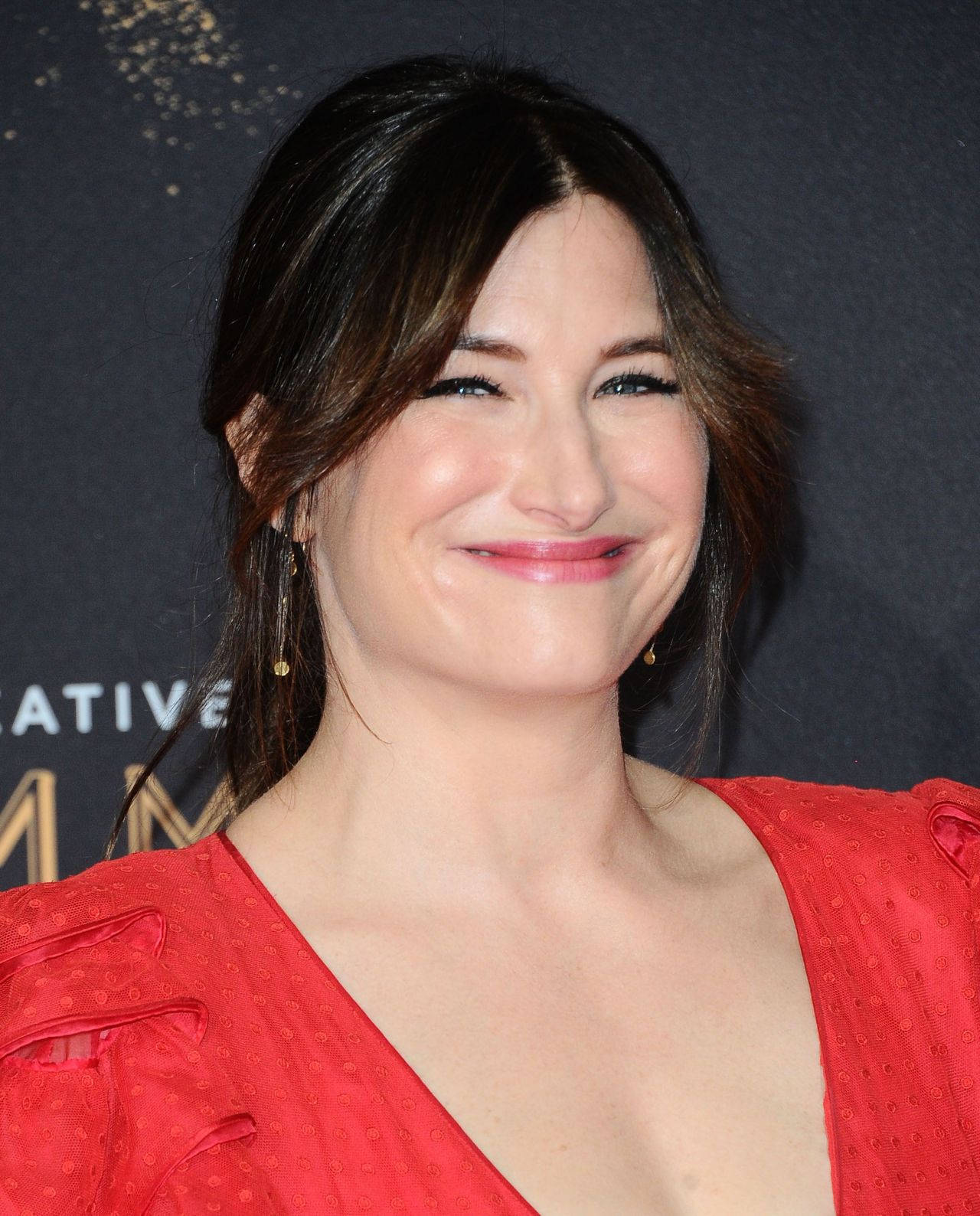 Kathryn Hahn Hollywood Actress Background