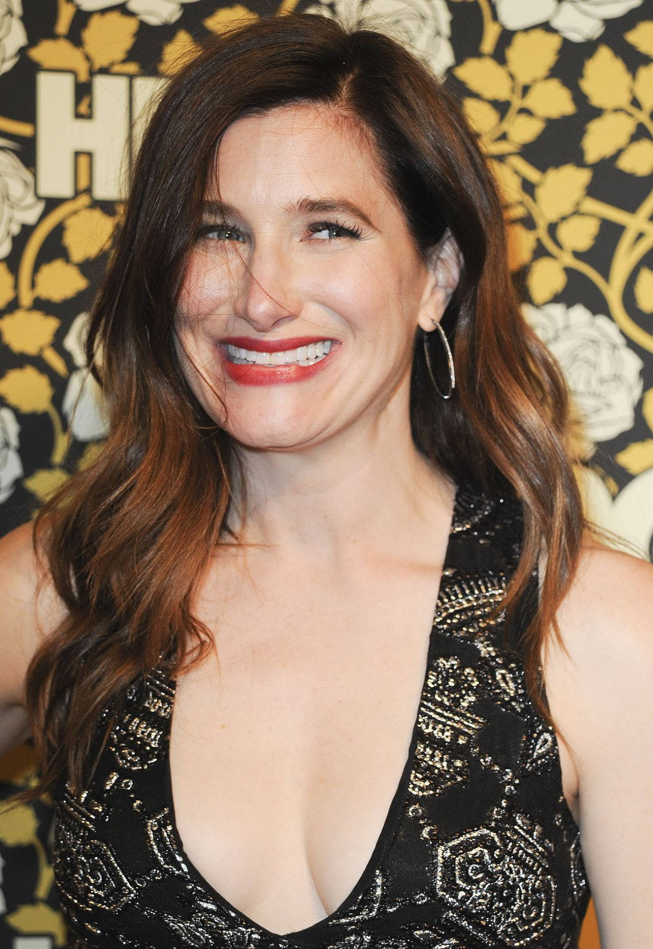 Kathryn Hahn - The Versatile American Entertainer Background