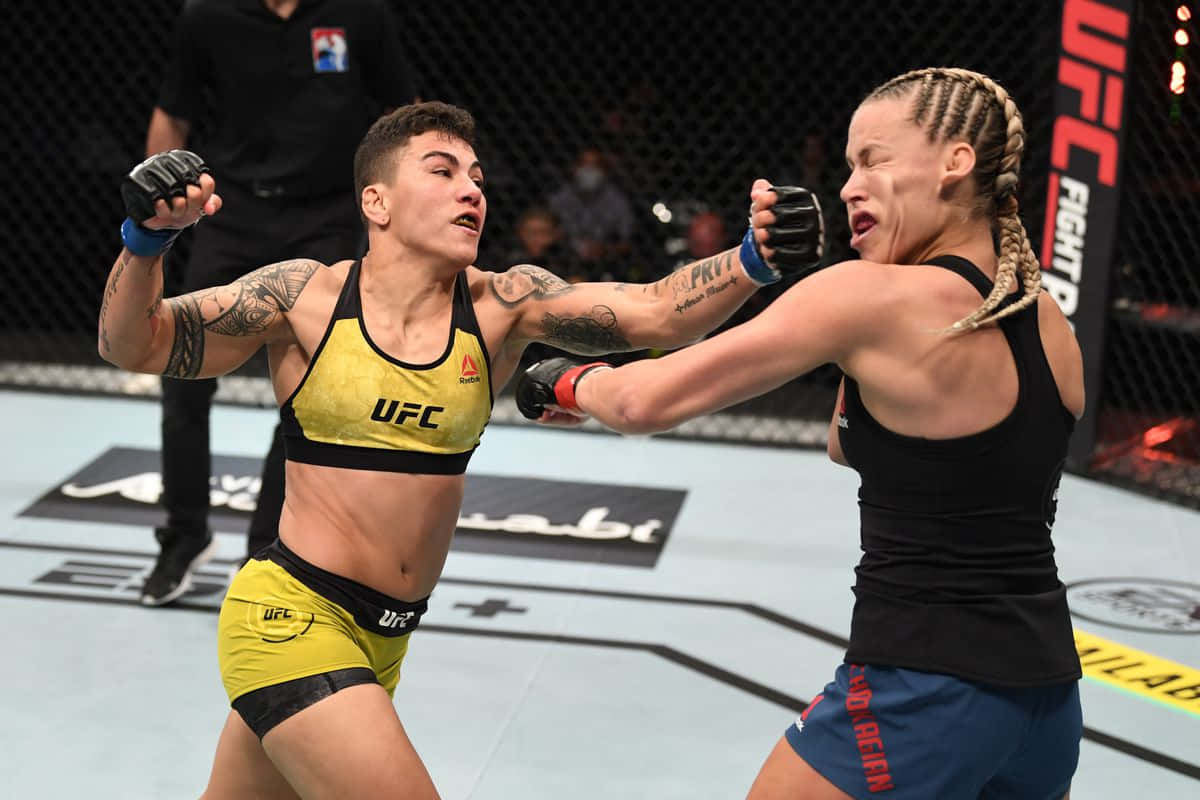 Katlyn Chookagian Punched In The Face Background