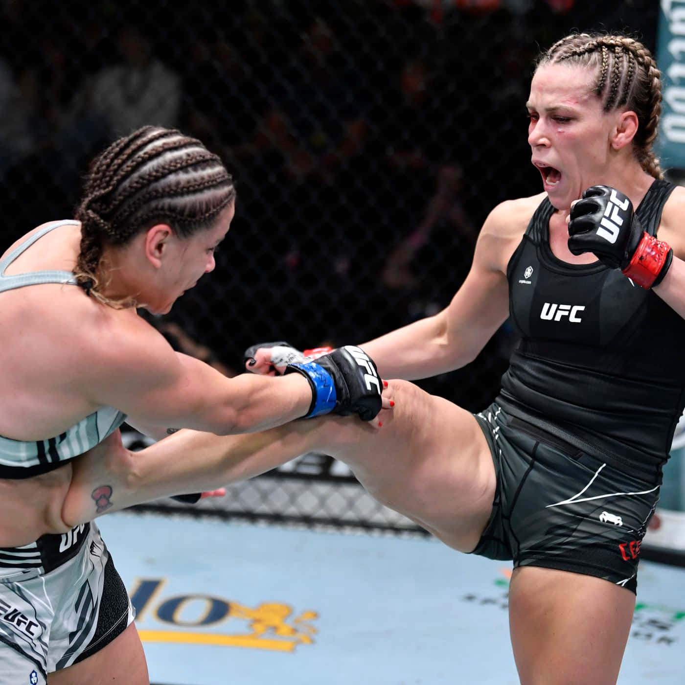 Katlyn Chookagian Stomach Kick Background